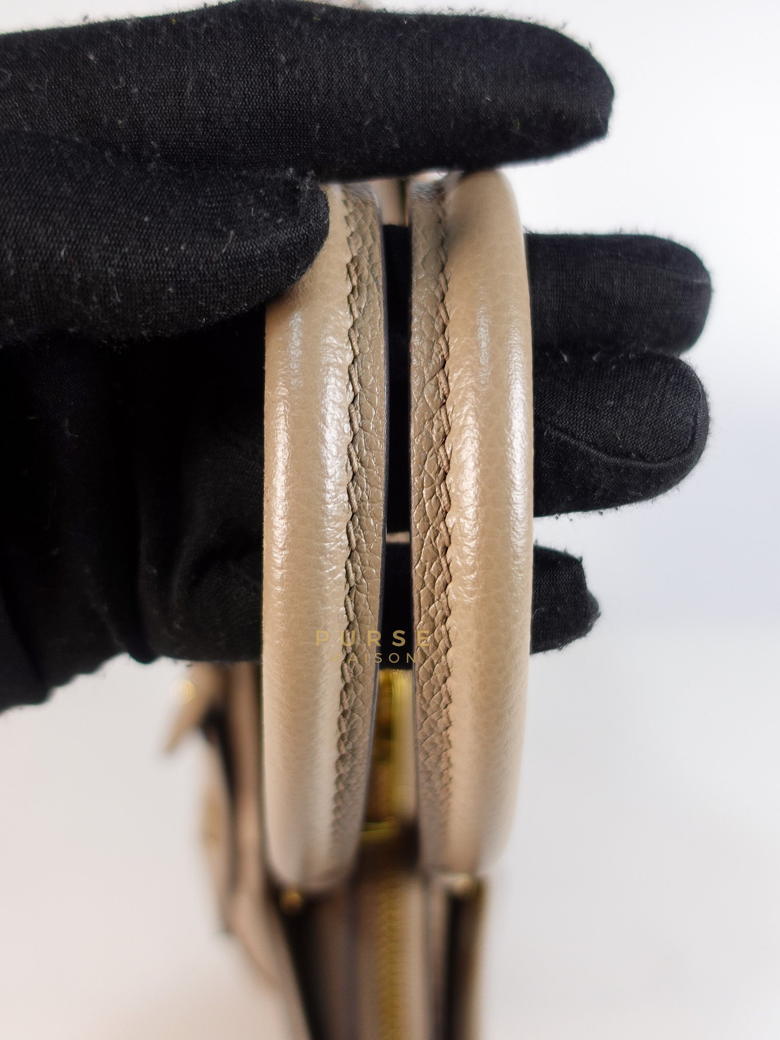 Trianon PM Hand Bag in Beige Monogram Empreinte Leather & Gold Hardware Microchip | Purse Maison Luxury Bags Shop