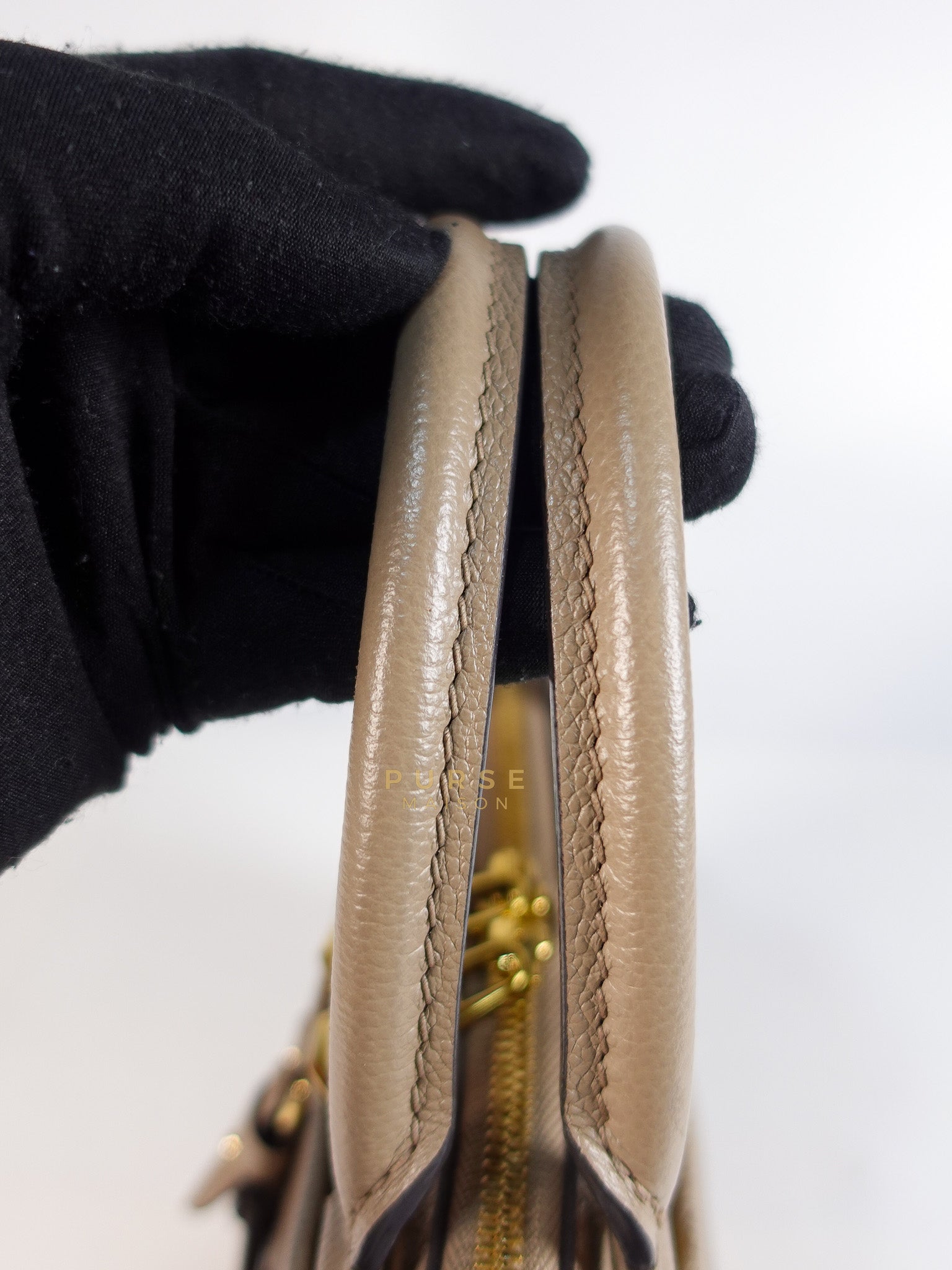 Trianon PM Hand Bag in Beige Monogram Empreinte Leather & Gold Hardware Microchip | Purse Maison Luxury Bags Shop