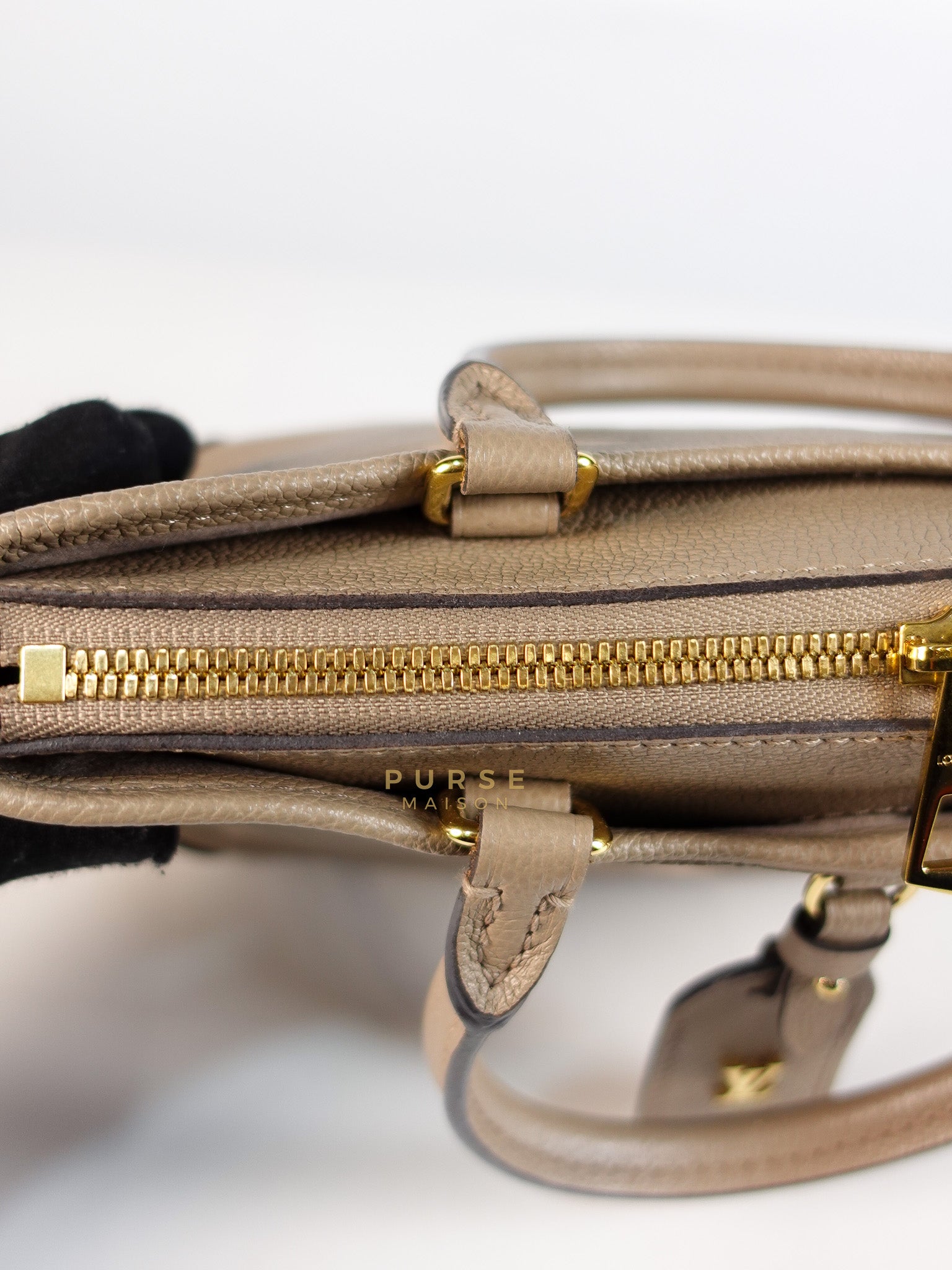 Trianon PM Hand Bag in Beige Monogram Empreinte Leather & Gold Hardware Microchip | Purse Maison Luxury Bags Shop