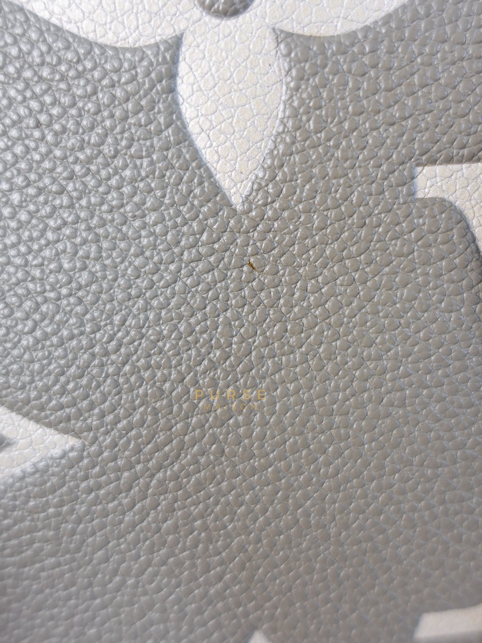 Trianon PM Hand Bag in Beige Monogram Empreinte Leather & Gold Hardware Microchip | Purse Maison Luxury Bags Shop