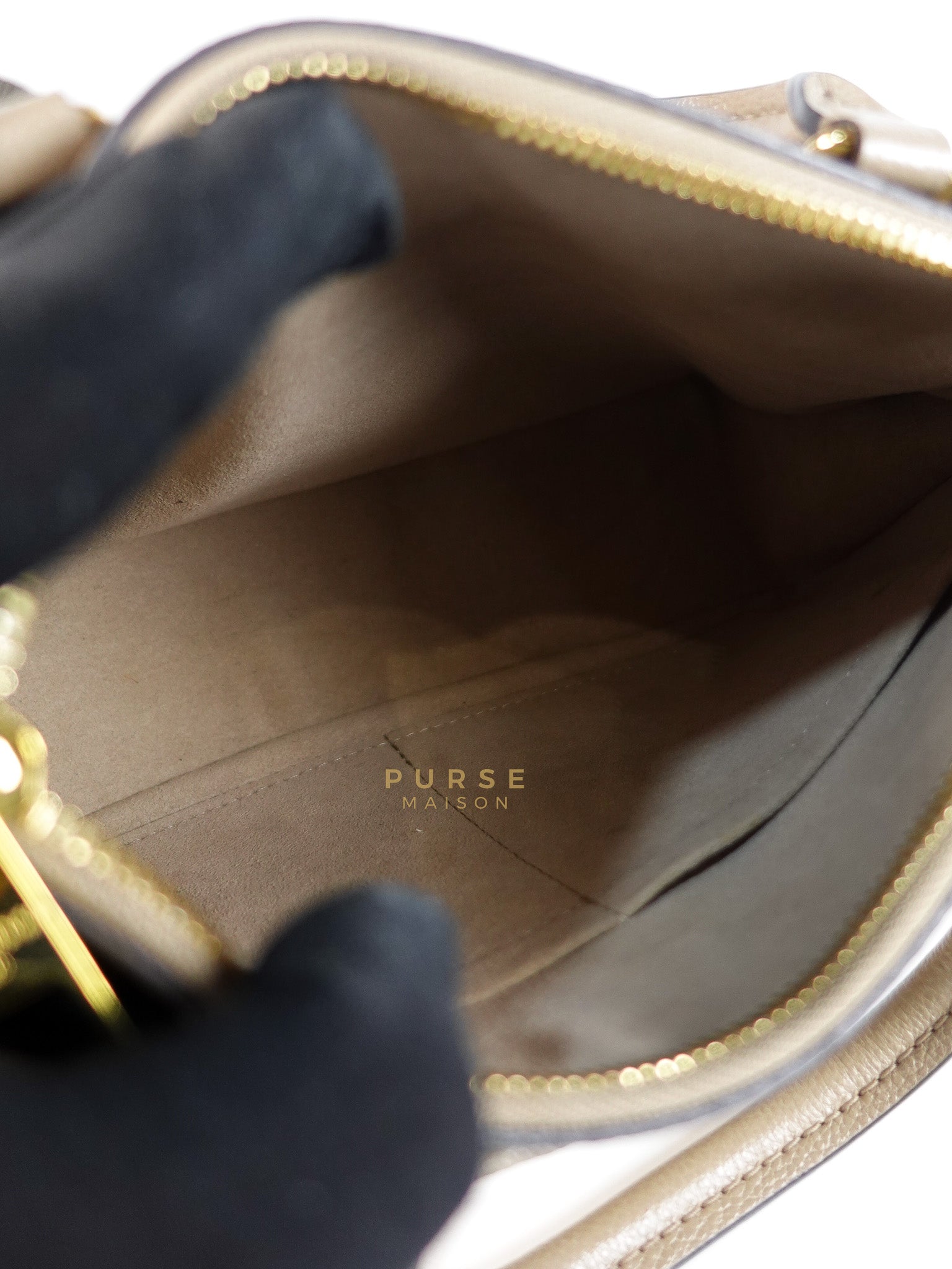 Trianon PM Hand Bag in Beige Monogram Empreinte Leather & Gold Hardware Microchip | Purse Maison Luxury Bags Shop