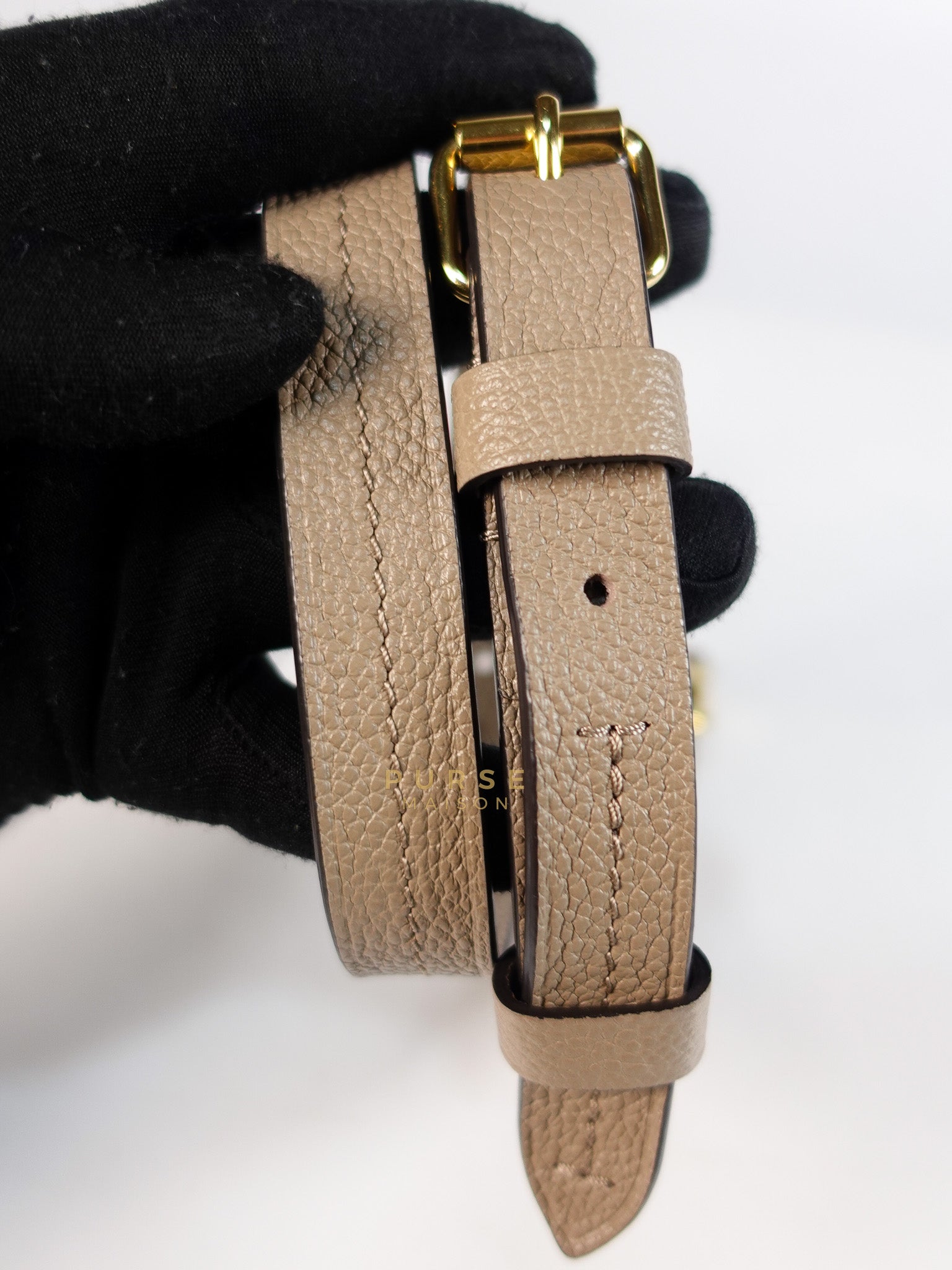 Trianon PM Hand Bag in Beige Monogram Empreinte Leather & Gold Hardware Microchip | Purse Maison Luxury Bags Shop