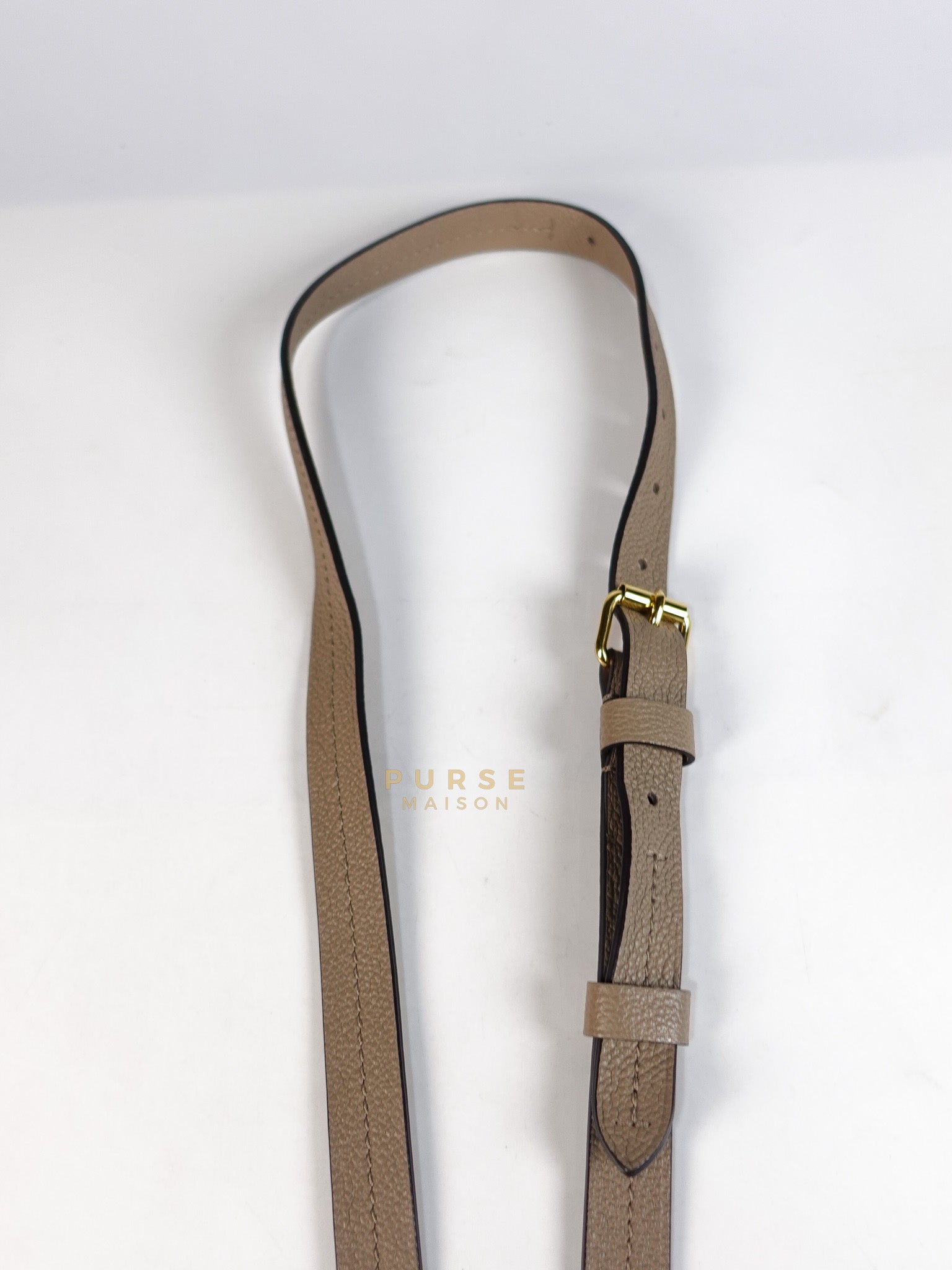 Trianon PM Hand Bag in Beige Monogram Empreinte Leather & Gold Hardware Microchip | Purse Maison Luxury Bags Shop