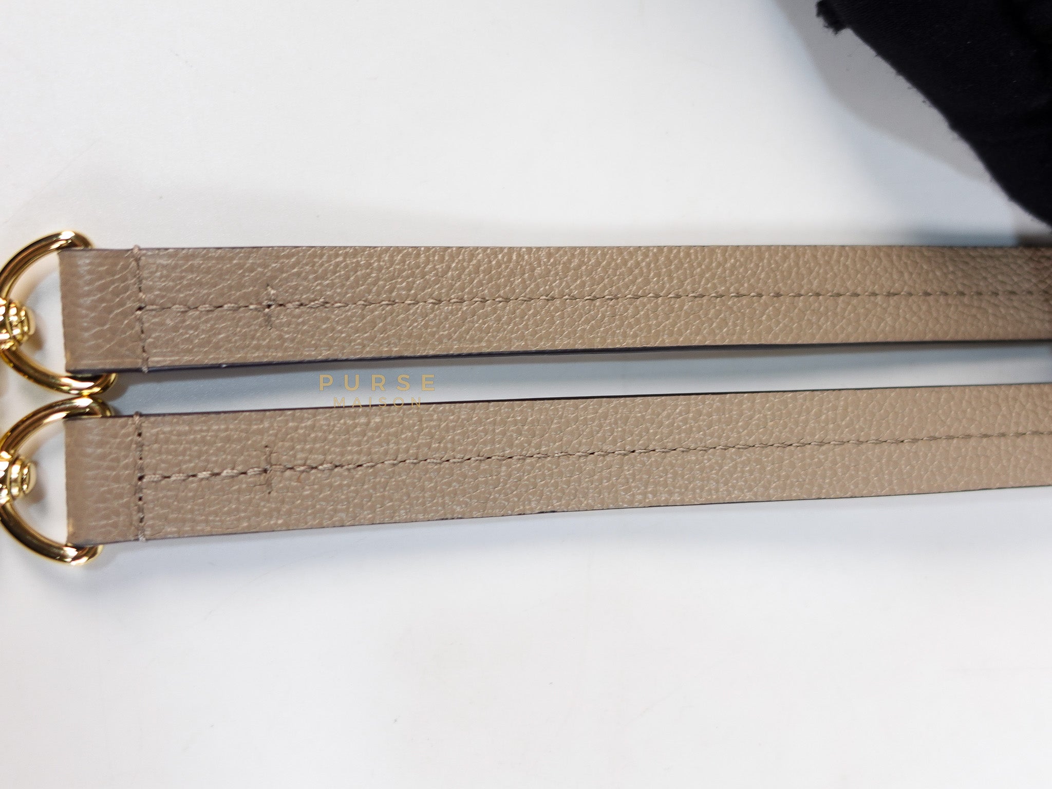 Trianon PM Hand Bag in Beige Monogram Empreinte Leather & Gold Hardware Microchip | Purse Maison Luxury Bags Shop