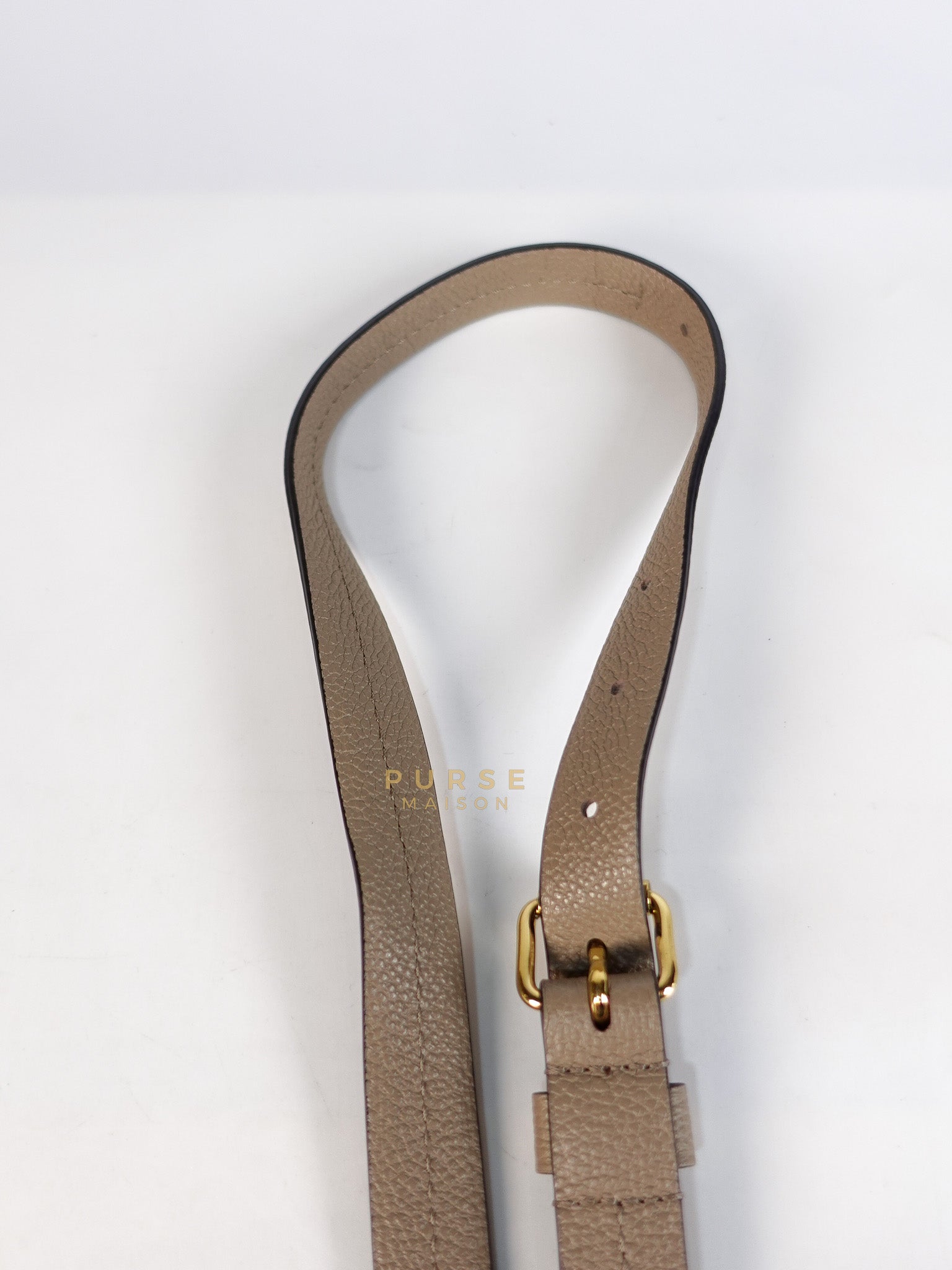 Trianon PM Hand Bag in Beige Monogram Empreinte Leather & Gold Hardware Microchip | Purse Maison Luxury Bags Shop