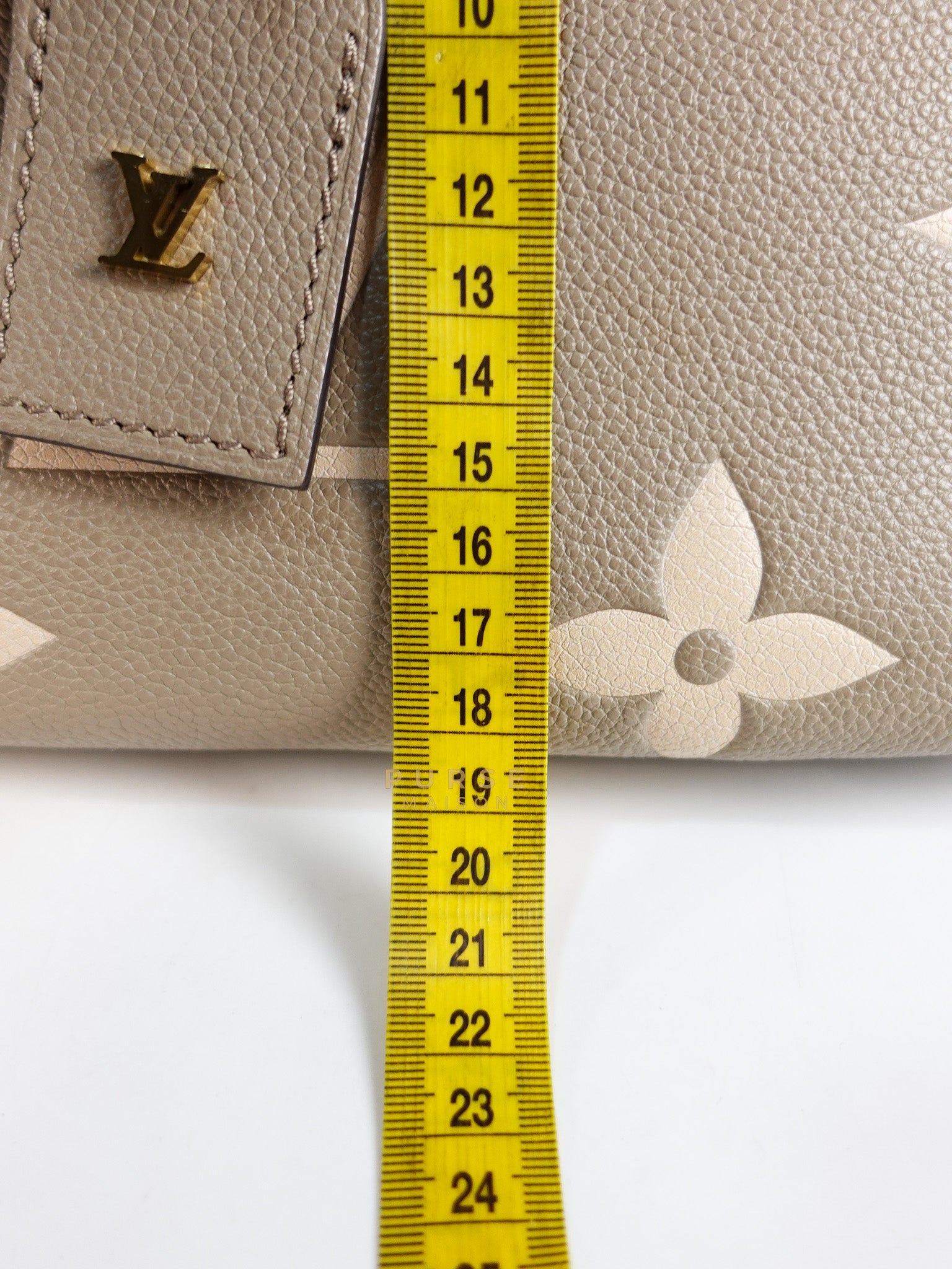 Trianon PM Hand Bag in Beige Monogram Empreinte Leather & Gold Hardware Microchip | Purse Maison Luxury Bags Shop