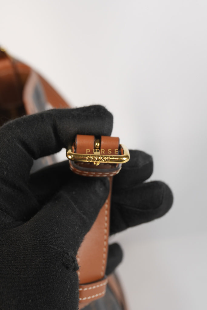 Triomphe Bucket Bag Small in Black/Dark Brown Calfskin Leather & Gold Hardware | Purse Maison Luxury Bags Shop