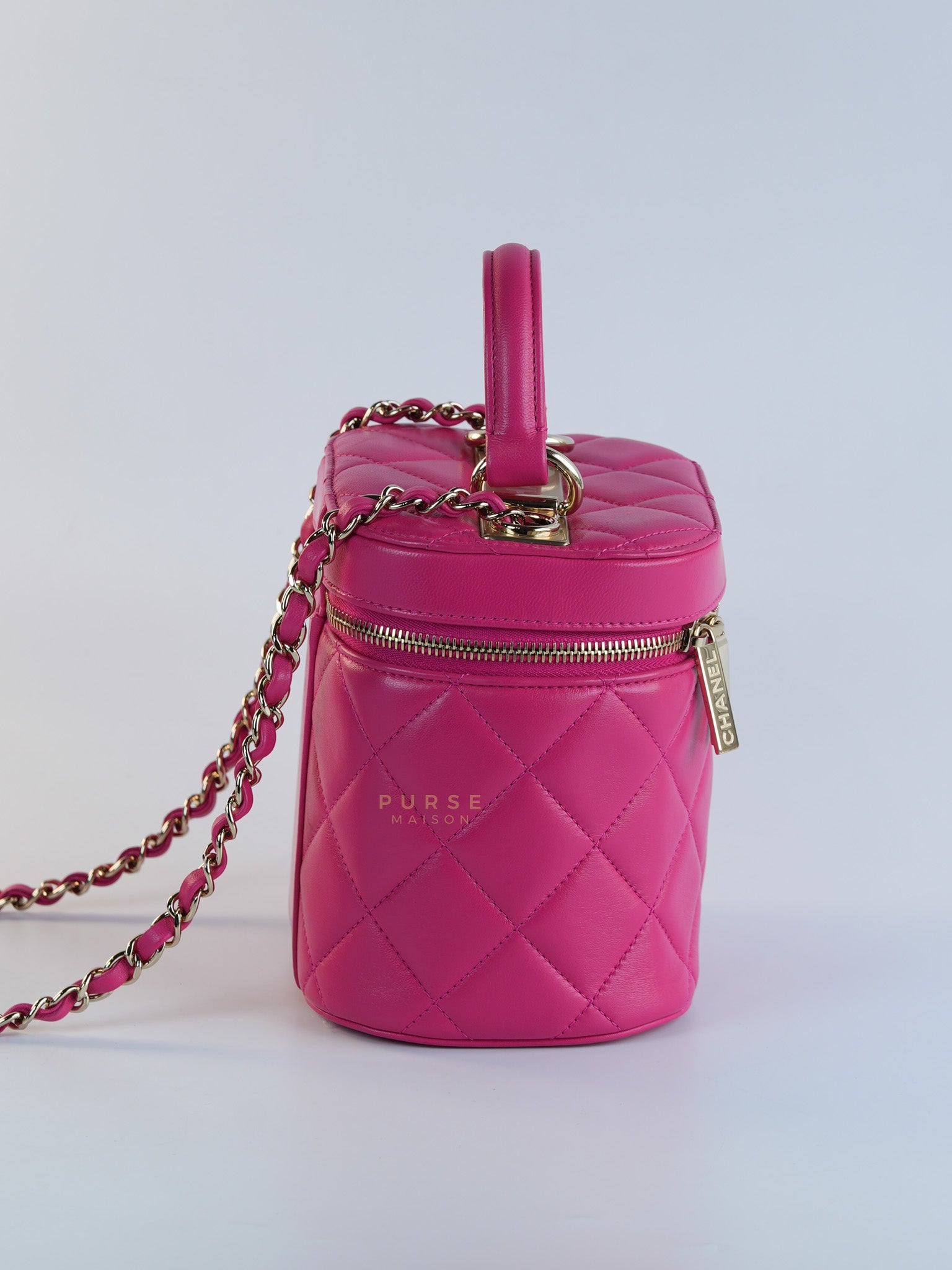 Vanity Bag Small in Pink Lambskin Leather and Light Gold Hardware Series 30 | Purse Maison Luxury Bags Shop