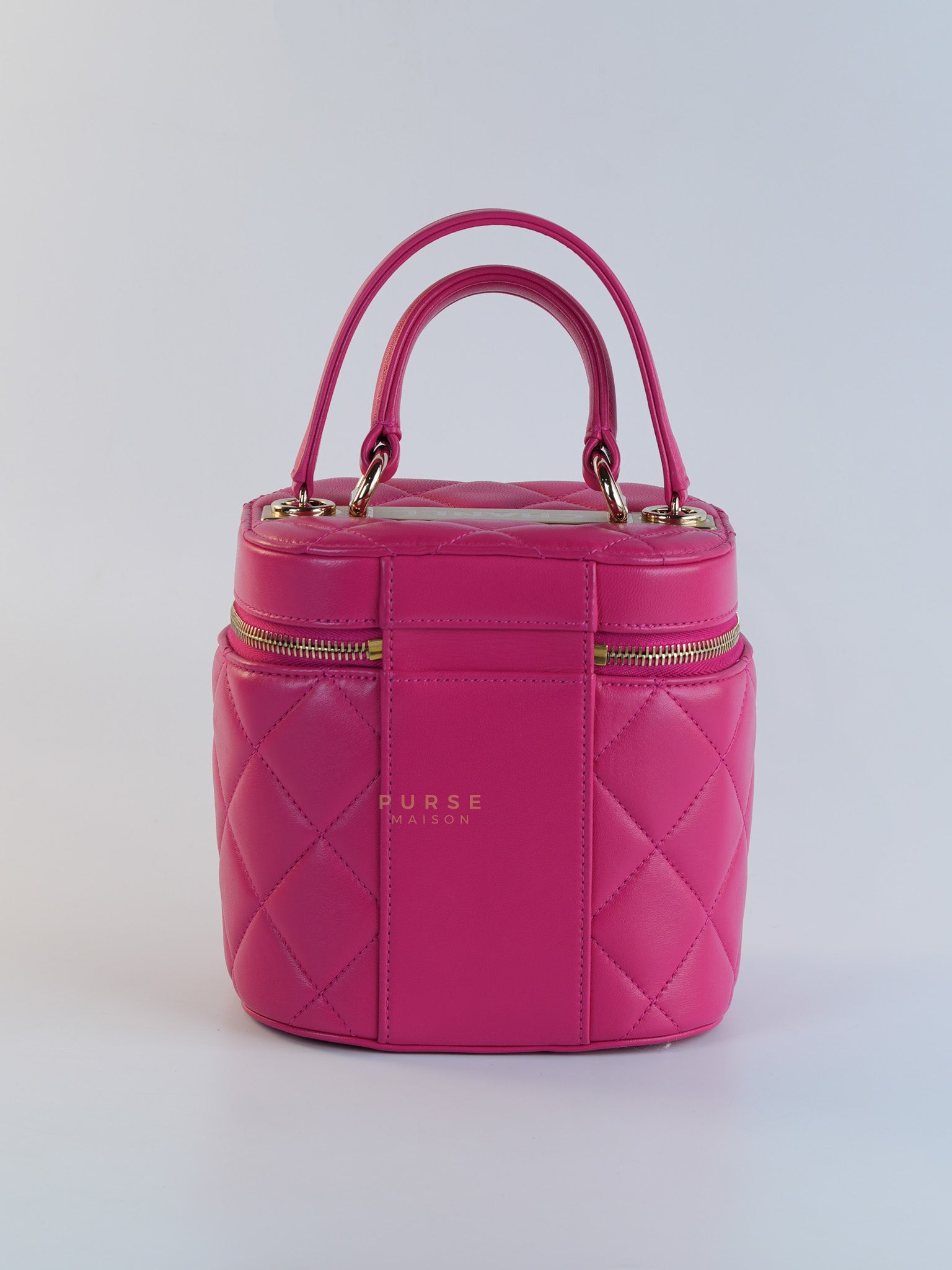 Vanity Bag Small in Pink Lambskin Leather and Light Gold Hardware Series 30 | Purse Maison Luxury Bags Shop