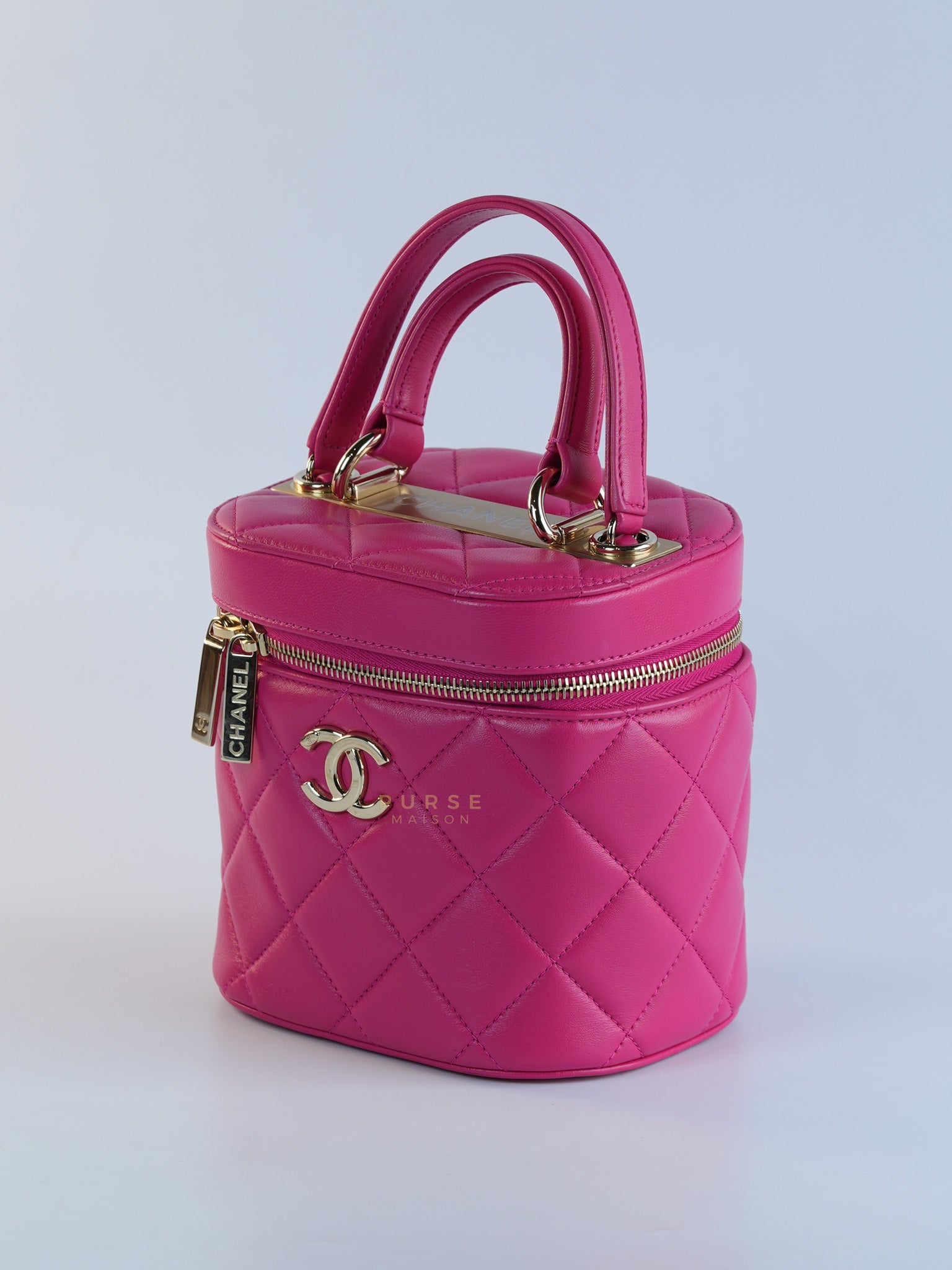 Vanity Bag Small in Pink Lambskin Leather and Light Gold Hardware Series 30 | Purse Maison Luxury Bags Shop