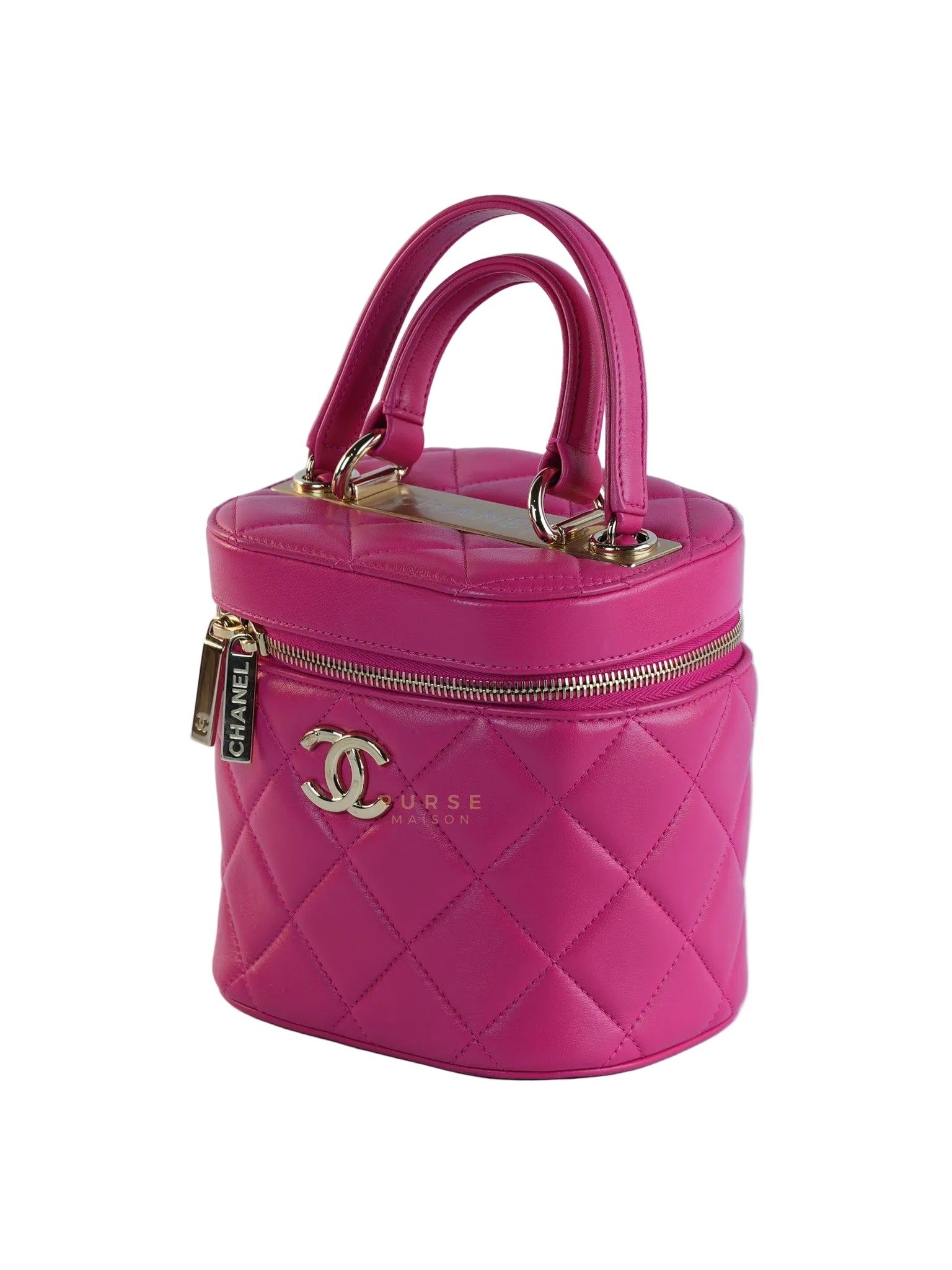 Vanity Bag Small in Pink Lambskin Leather and Light Gold Hardware Series 30 | Purse Maison Luxury Bags Shop