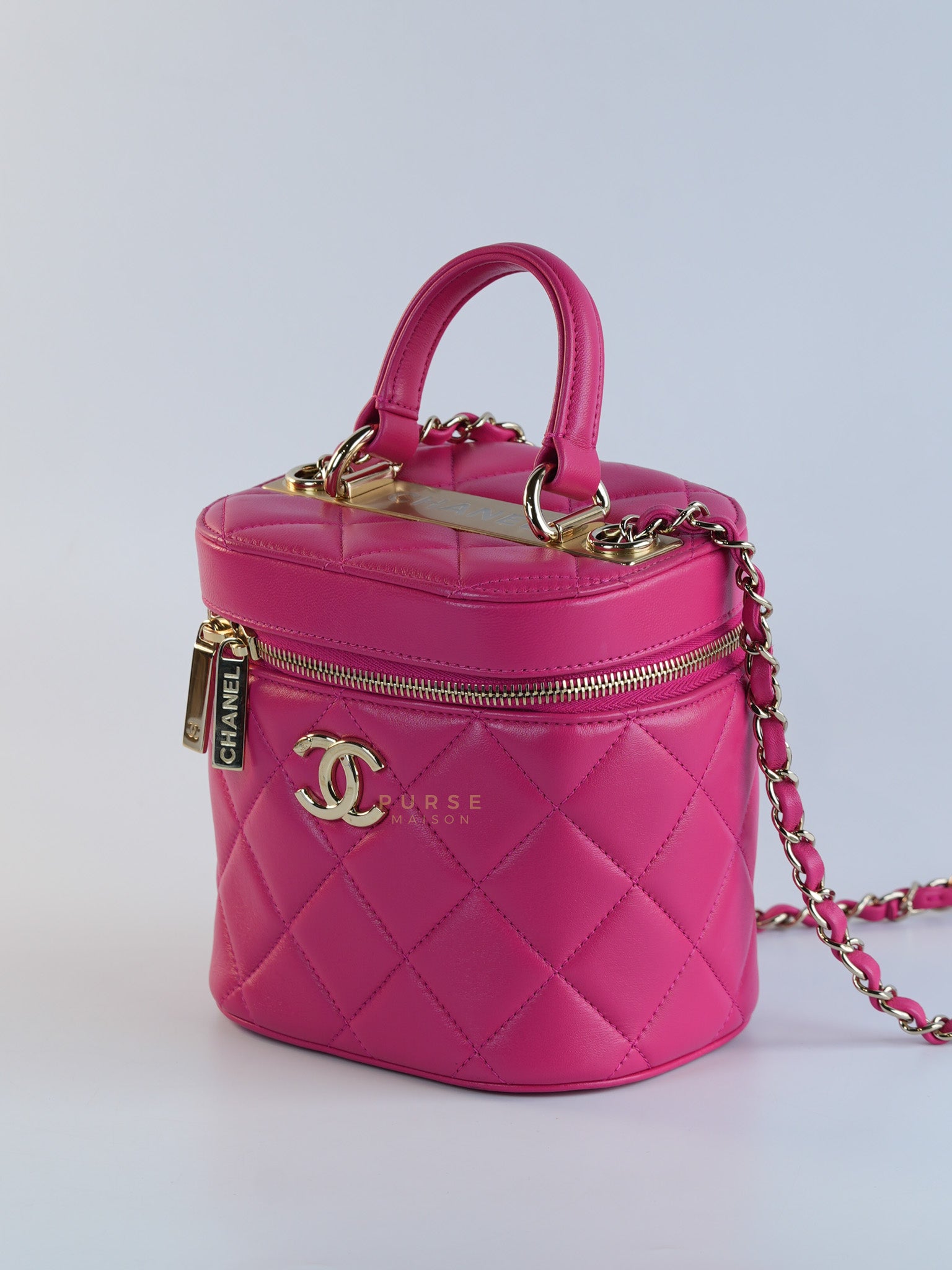 Vanity Bag Small in Pink Lambskin Leather and Light Gold Hardware Series 30 | Purse Maison Luxury Bags Shop