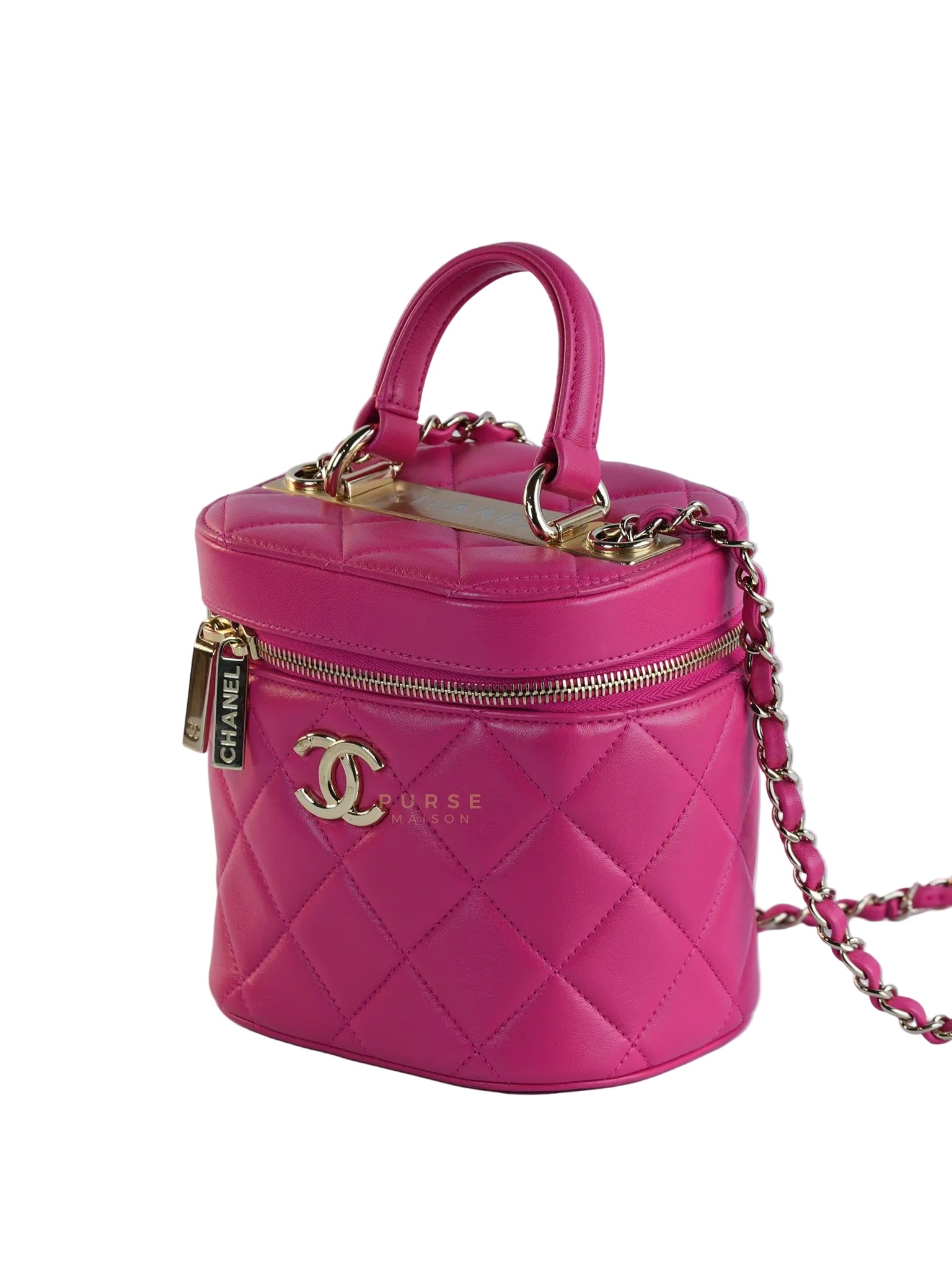 Vanity Bag Small in Pink Lambskin Leather and Light Gold Hardware Series 30 | Purse Maison Luxury Bags Shop