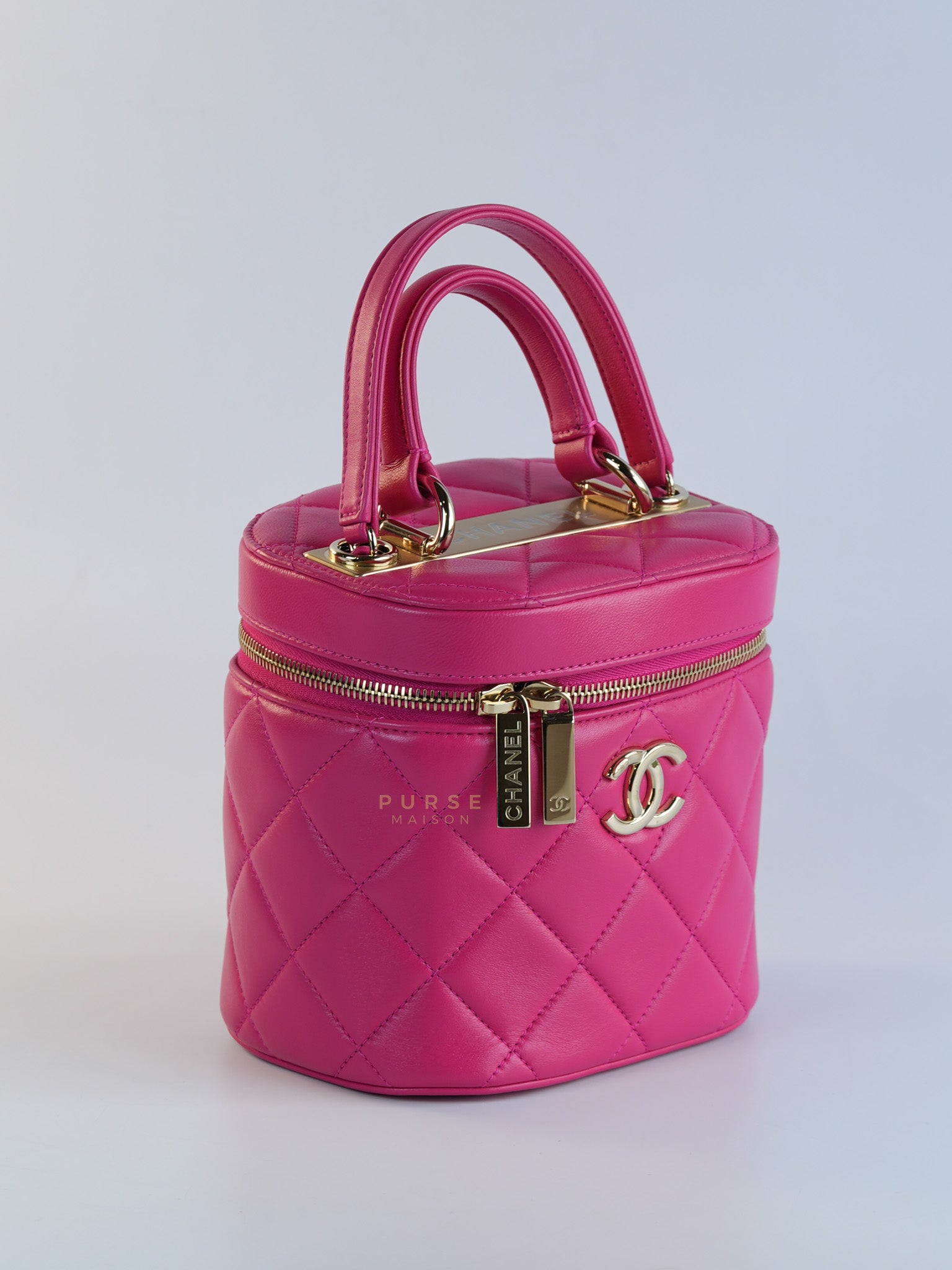 Vanity Bag Small in Pink Lambskin Leather and Light Gold Hardware Series 30 | Purse Maison Luxury Bags Shop