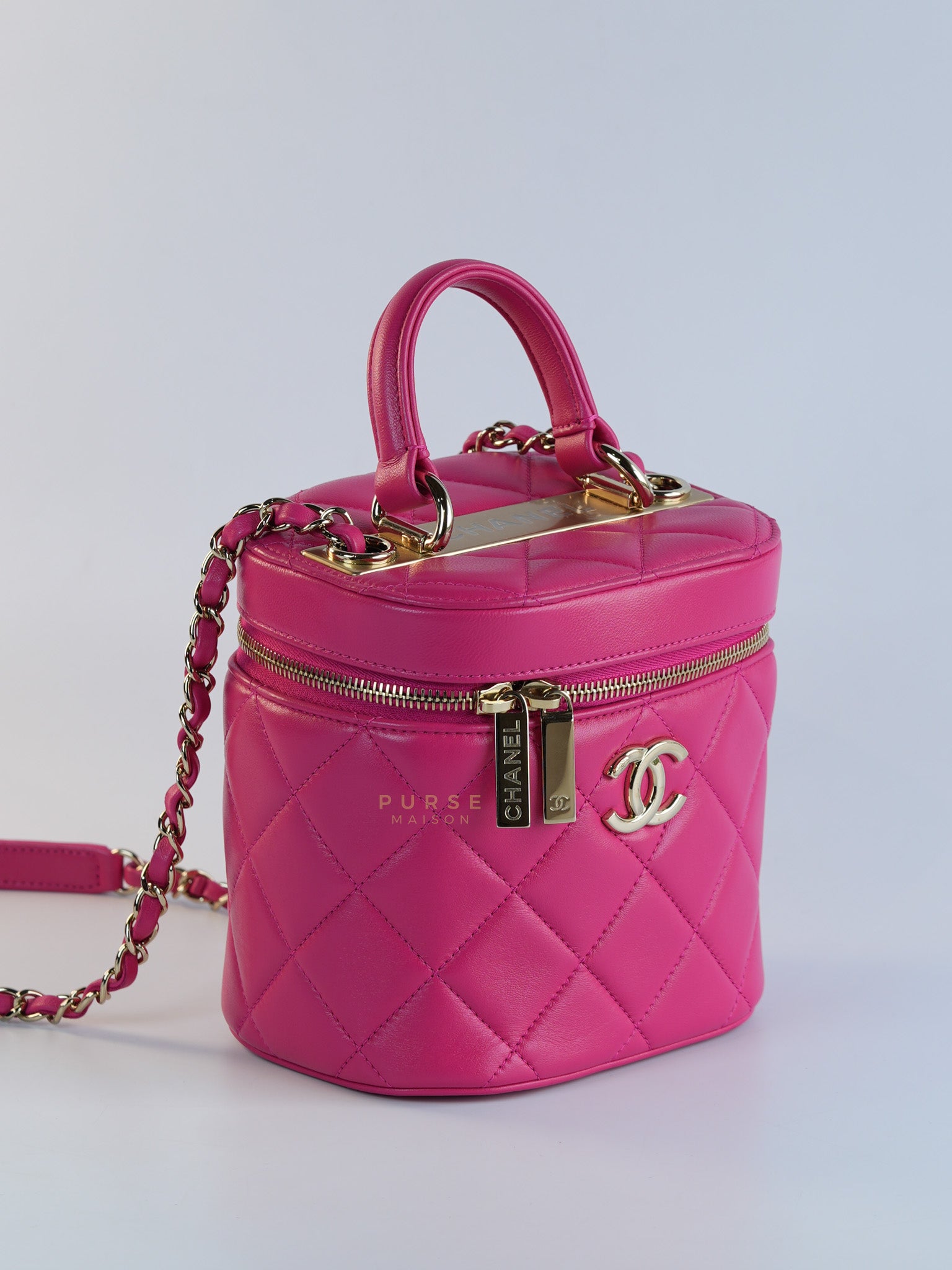 Vanity Bag Small in Pink Lambskin Leather and Light Gold Hardware Series 30 | Purse Maison Luxury Bags Shop