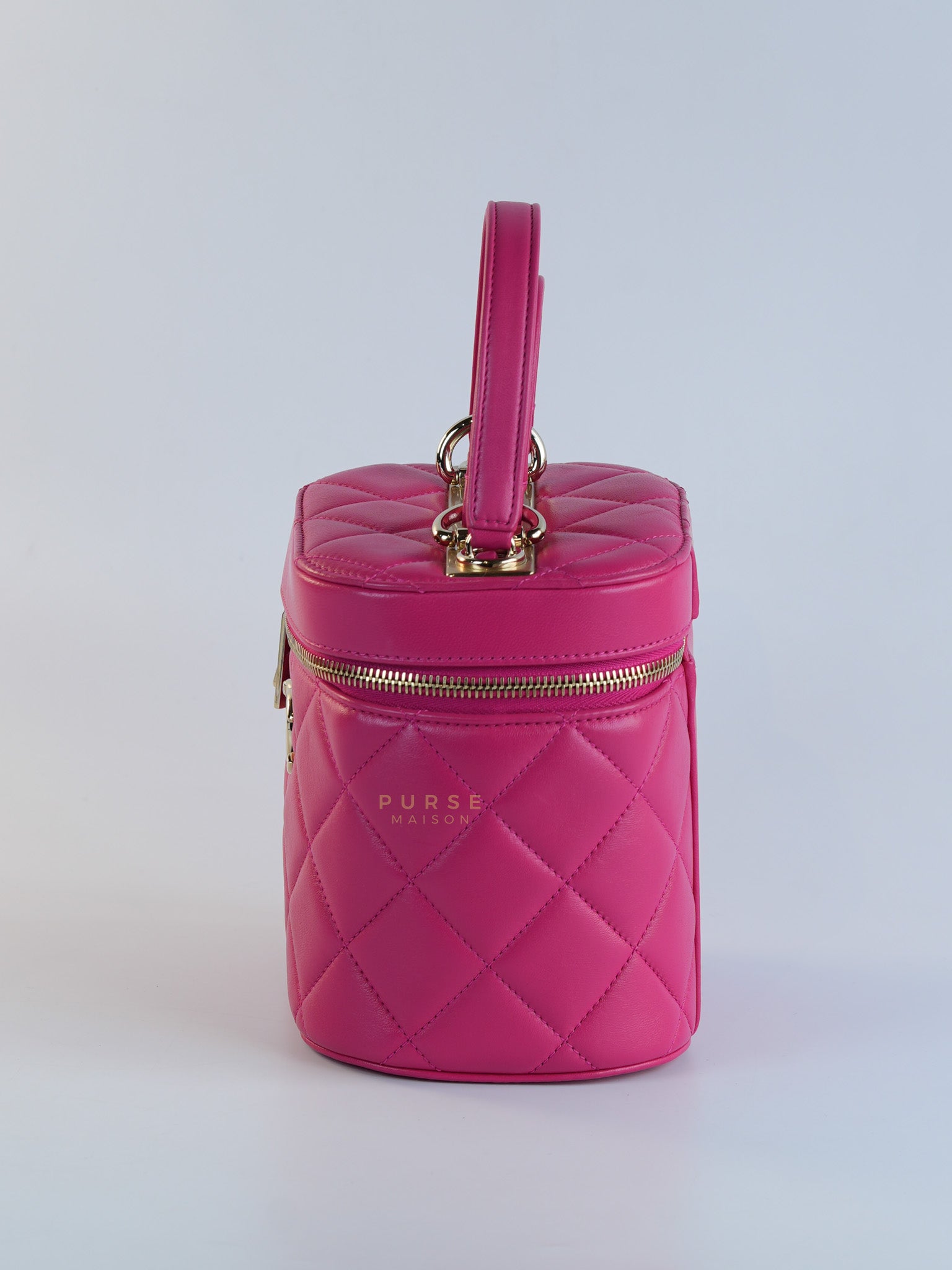 Vanity Bag Small in Pink Lambskin Leather and Light Gold Hardware Series 30 | Purse Maison Luxury Bags Shop