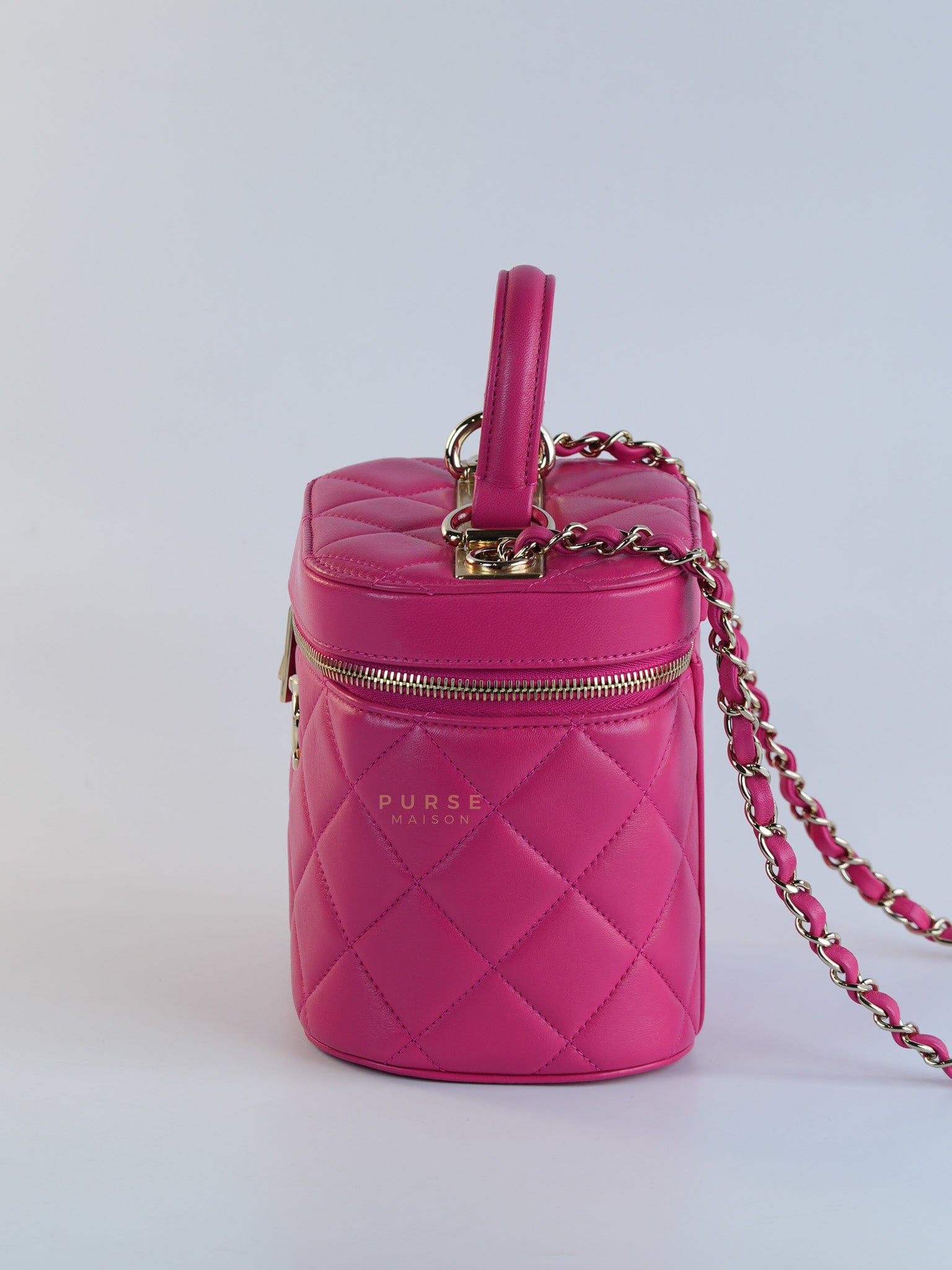 Vanity Bag Small in Pink Lambskin Leather and Light Gold Hardware Series 30 | Purse Maison Luxury Bags Shop