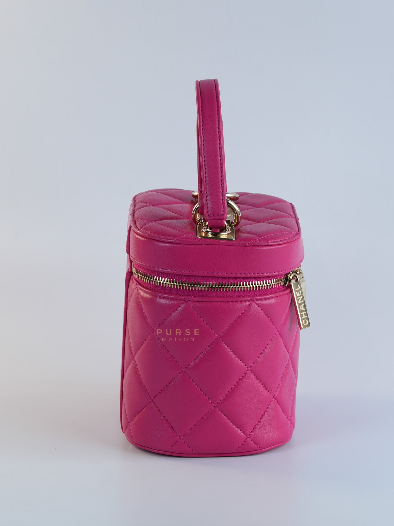 Vanity Bag Small in Pink Lambskin Leather and Light Gold Hardware Series 30 | Purse Maison Luxury Bags Shop