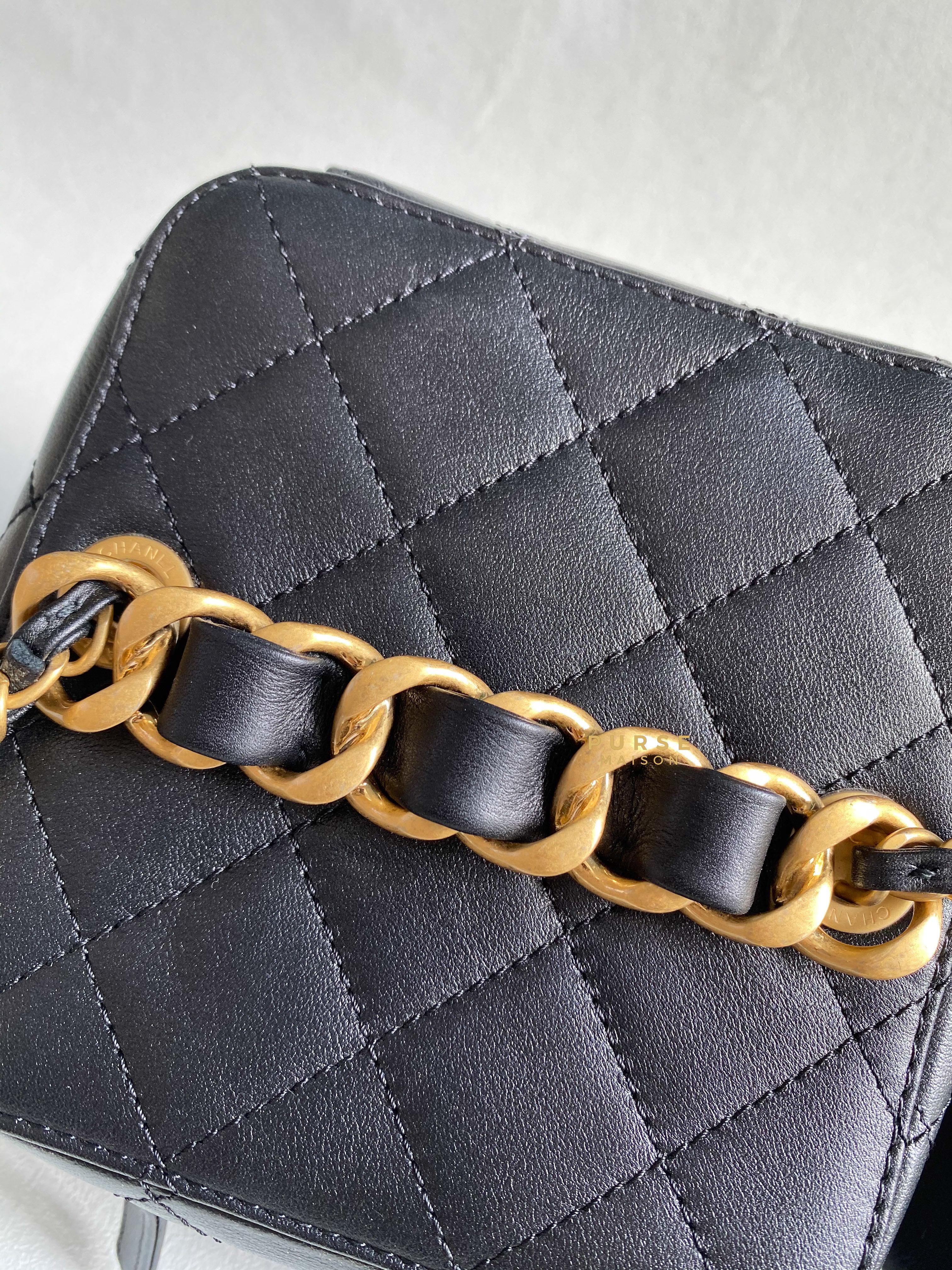 Chanel Vanity Case 22s Lambskin Leather in Aged Gold Hardware (Microchip) | Purse Maison Luxury Bags Shop