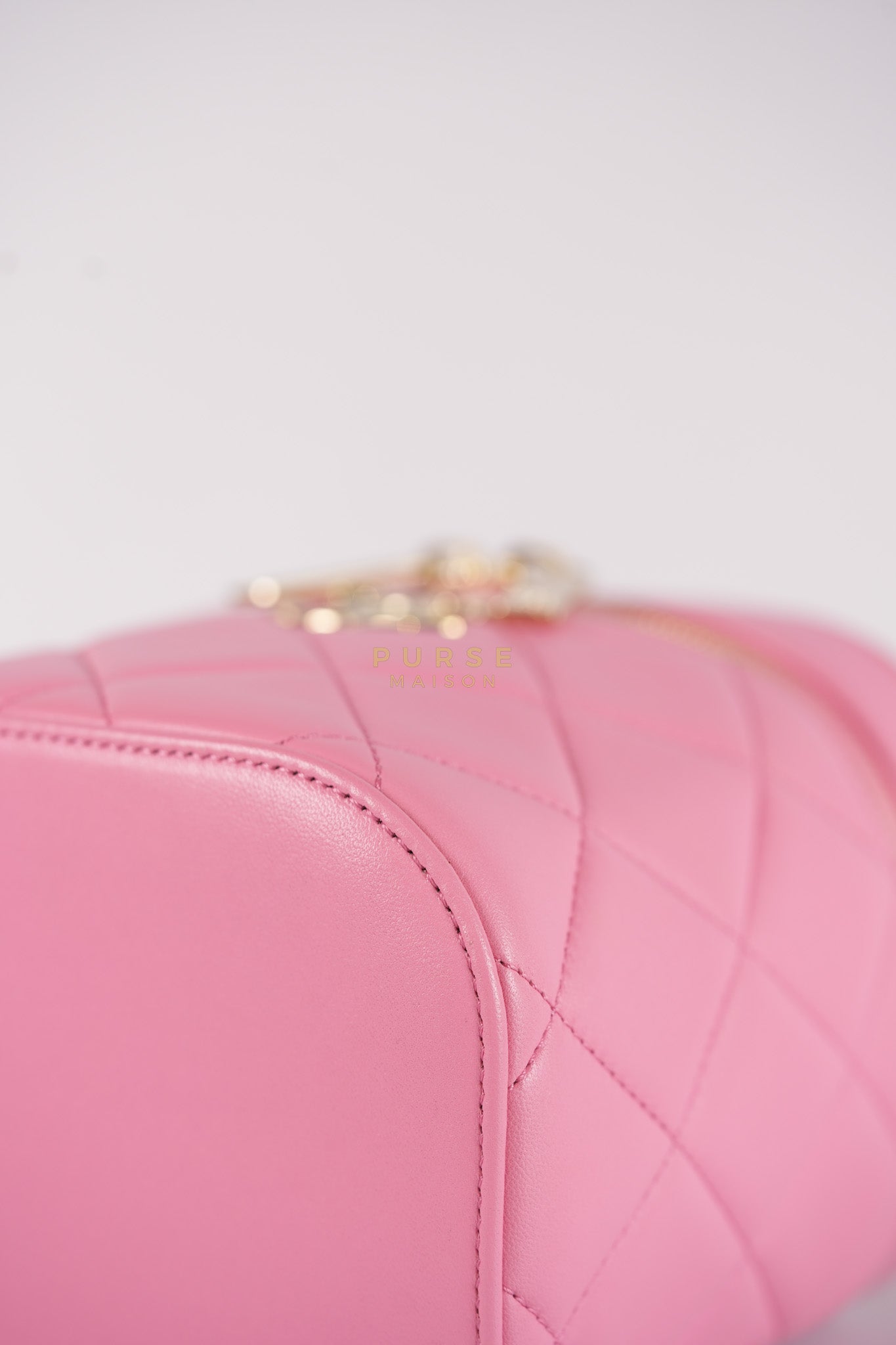 Vanity Case Bag in Pink Quilted Lambskin Leather & Gold Hardware Series 30 | Purse Maison Luxury Bags Shop