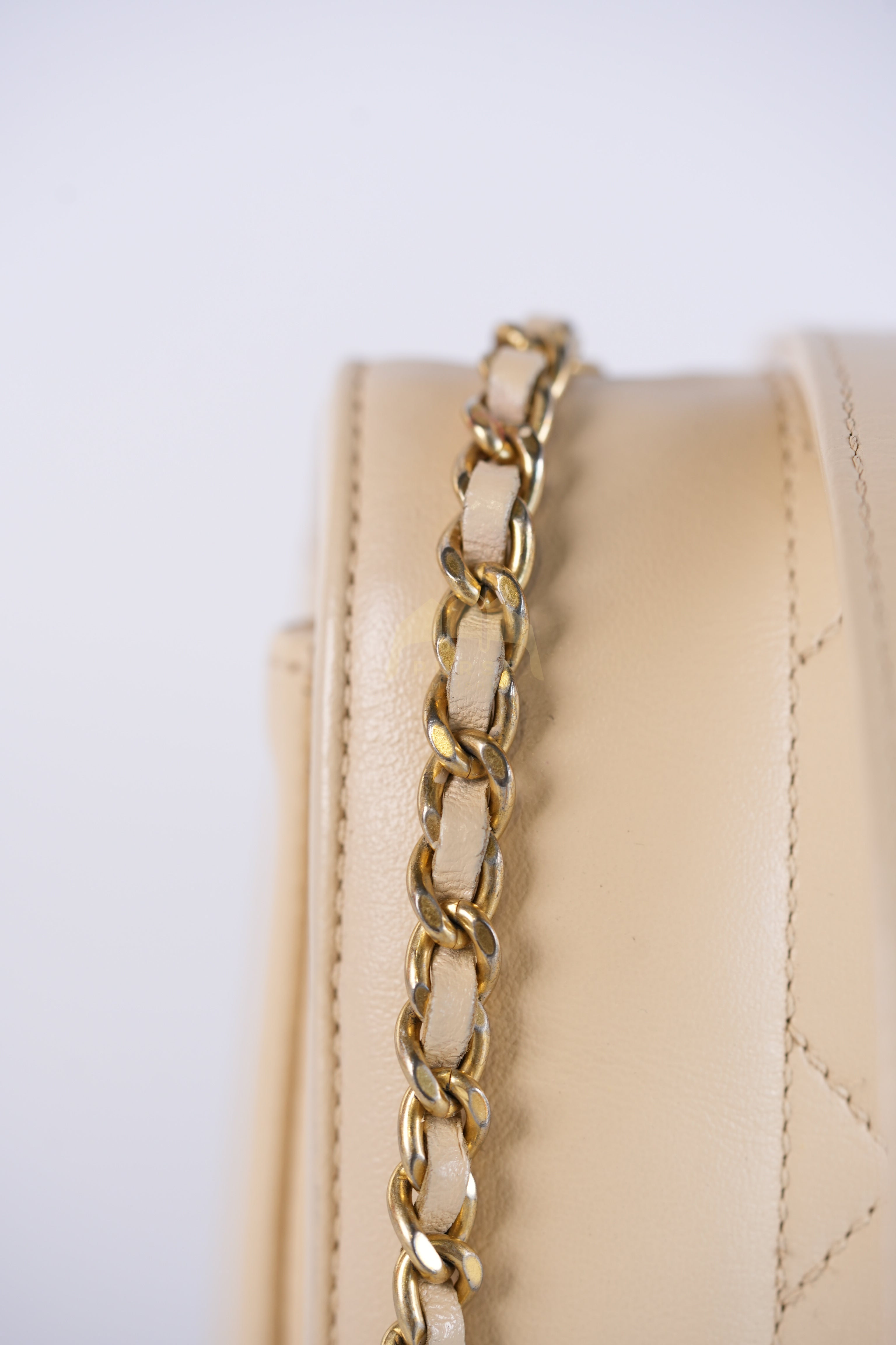 Vintage Diana Medium in Beige Calfskin Leather and Gold Hardware Series 20 | Purse Maison Luxury Bags Shop