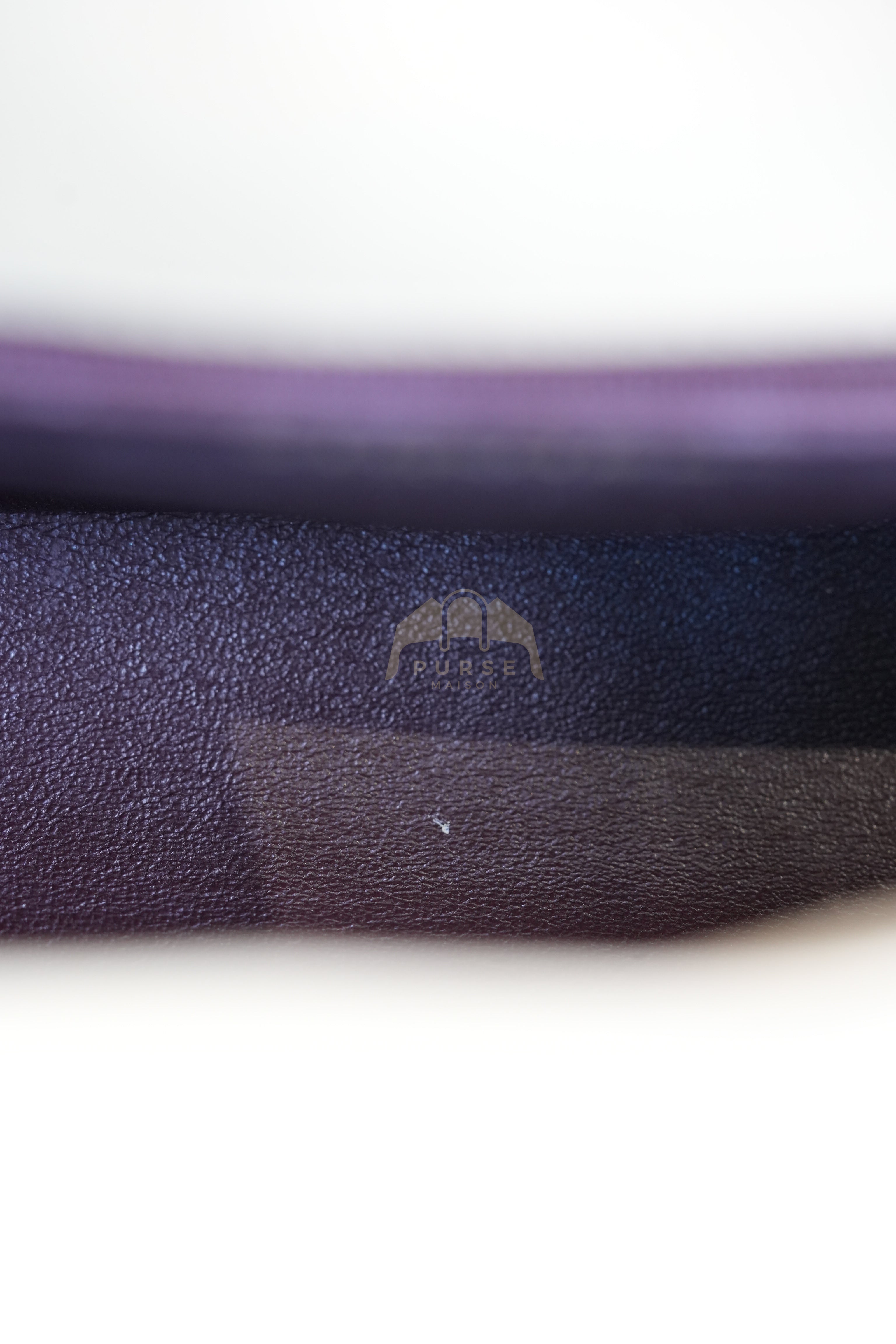 Vintage Diana Medium in Beige Calfskin Leather and Gold Hardware Series 20 | Purse Maison Luxury Bags Shop