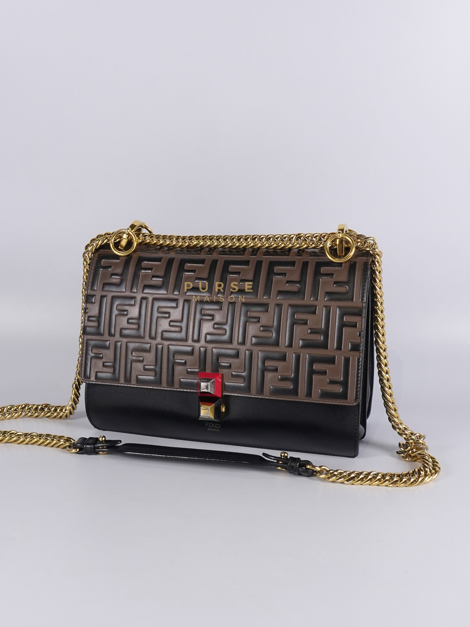 Vitello Liberty Bicolor and Gold Hardware | Purse Maison Luxury Bags Shop