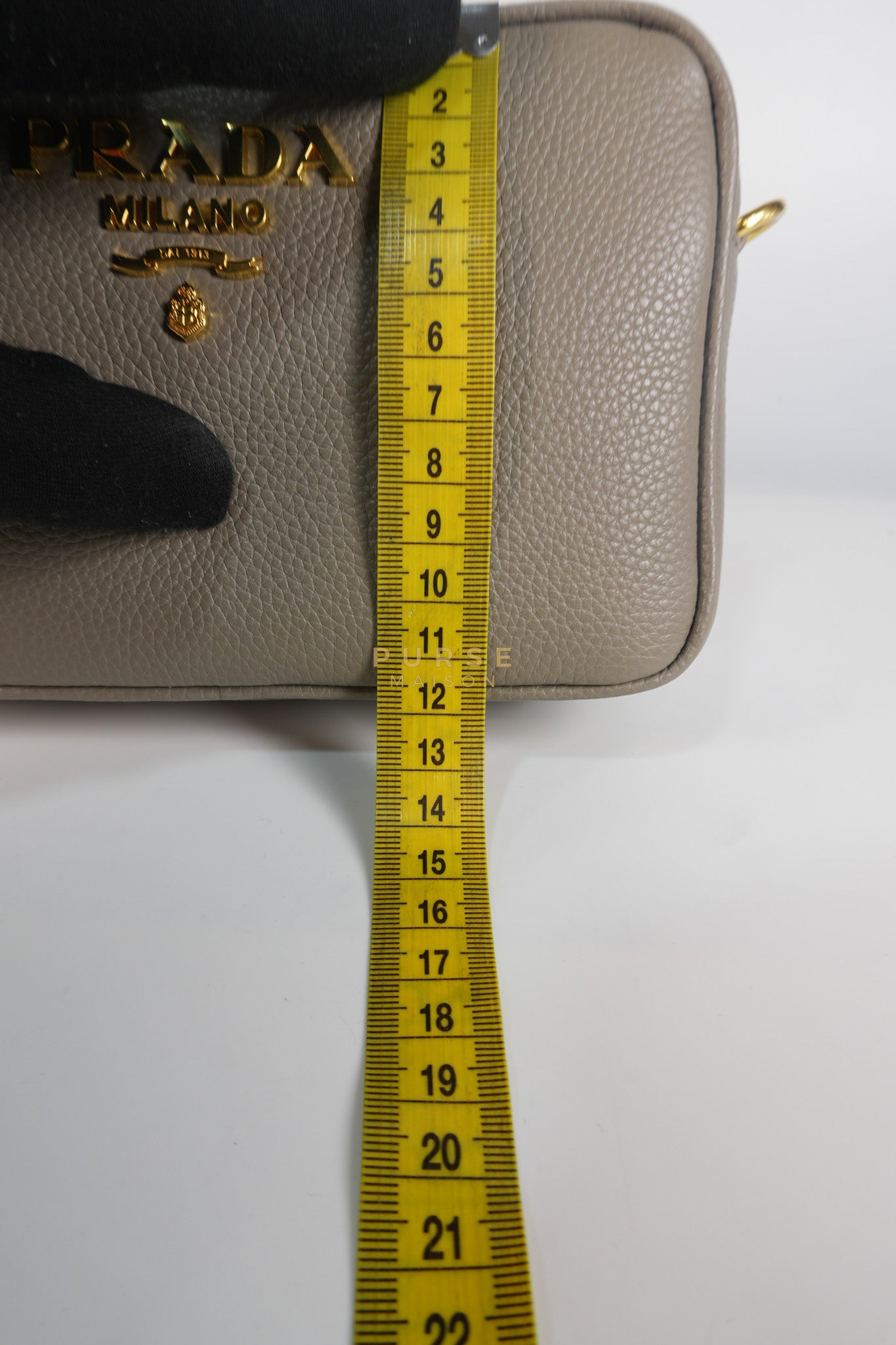 Vitello Phoenix Camera Bag in Gray Calfskin Leather & Gold Hardware | Purse Maison Luxury Bags Shop