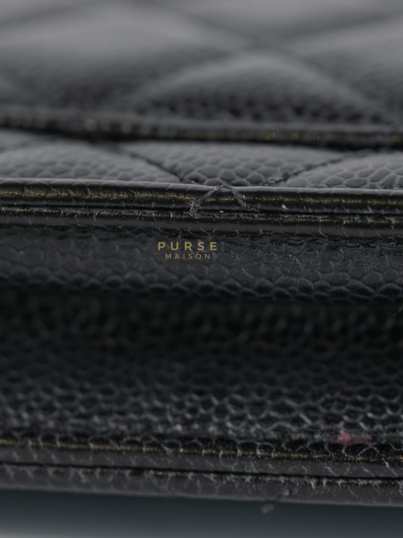 Wallet on Chain in Black Quilted Caviar Leather & Gold Hardware Series 26 | Purse Maison Luxury Bags Shop