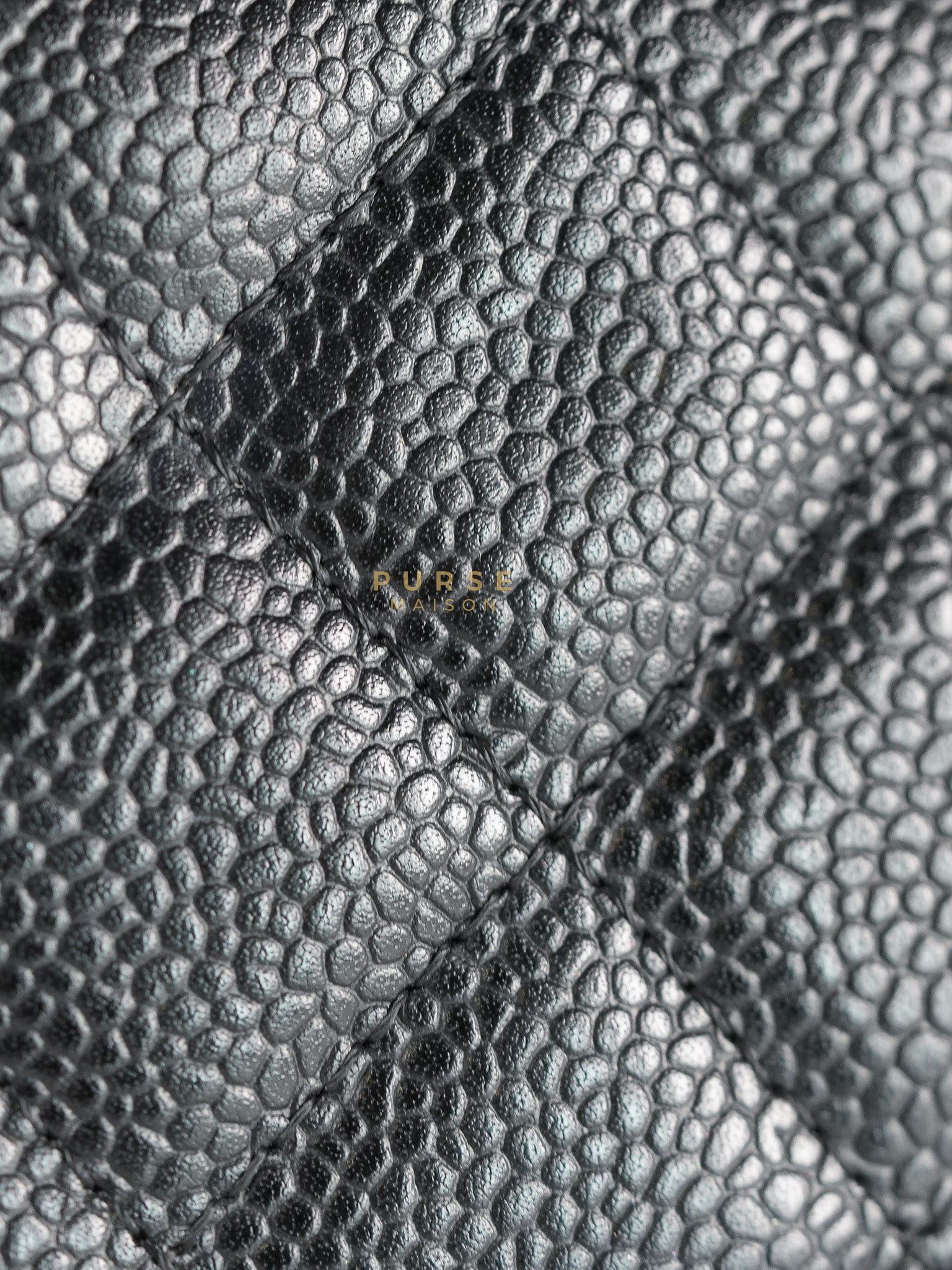 Wallet on Chain in Black Quilted Caviar Leather & Gold Hardware Series 26 | Purse Maison Luxury Bags Shop