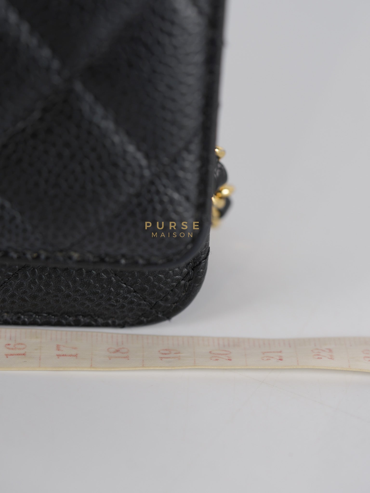 Wallet on Chain in Black Quilted Caviar Leather & Gold Hardware Series 26 | Purse Maison Luxury Bags Shop