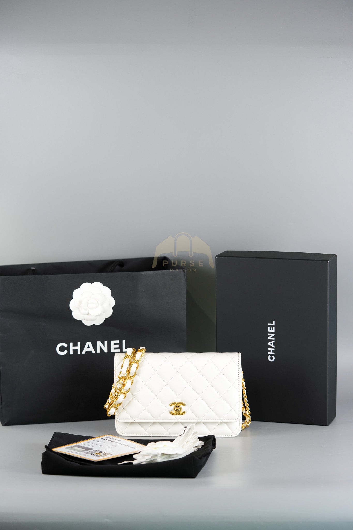 Wallet On Chain (WOC) Double Chain in White Lambskin Leather and Aged Gold Hardware (Microchip) | Purse Maison Luxury Bags Shop