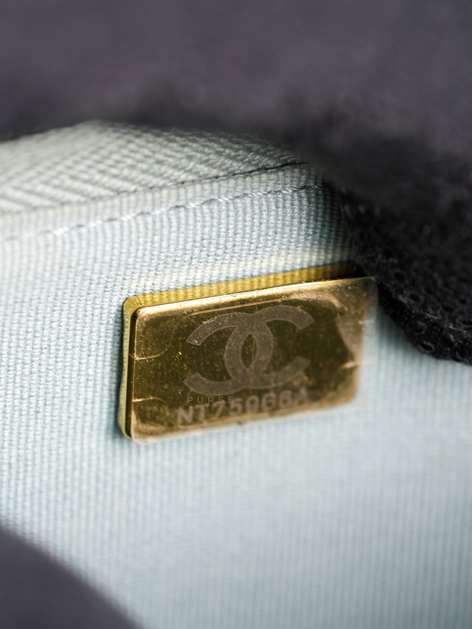 Wallet on Chain(WOC) Light Green Caviar Leather Light Gold Hardware(Microchip) | Purse Maison Luxury Bags Shop