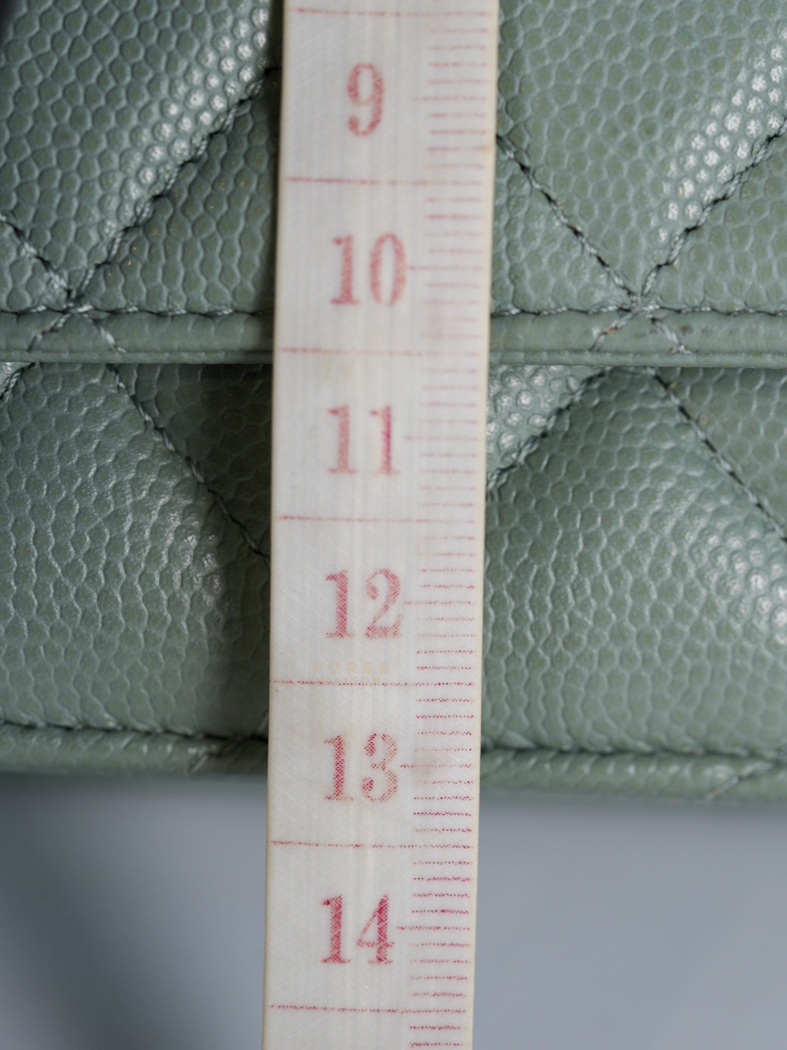 Wallet on Chain(WOC) Light Green Caviar Leather Light Gold Hardware(Microchip) | Purse Maison Luxury Bags Shop