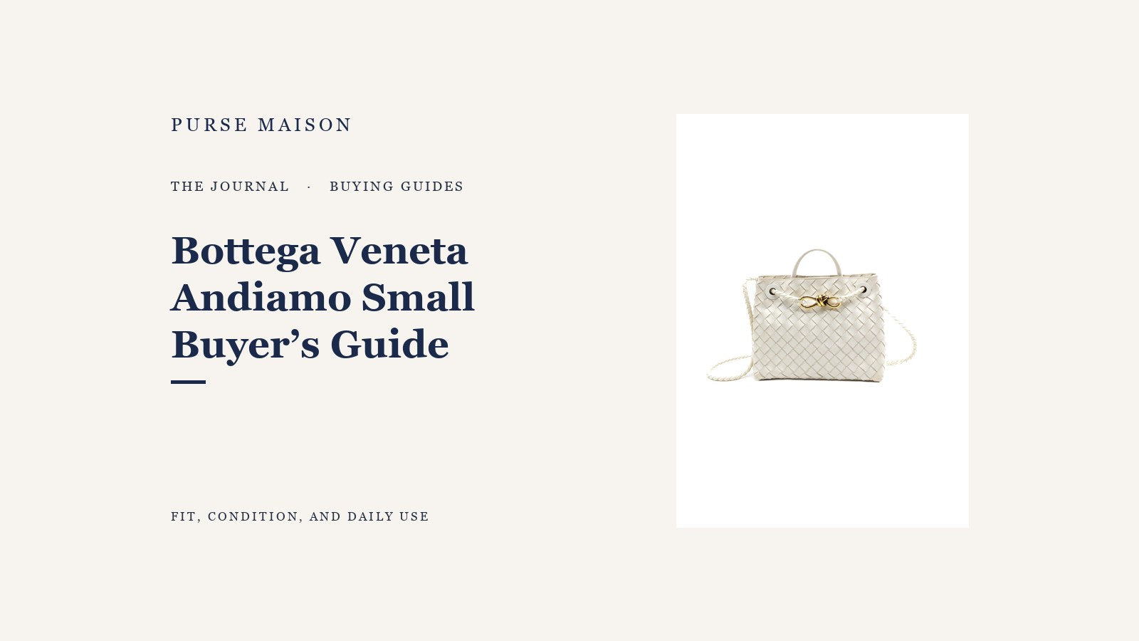 Purse Maison Journal cover for Bottega Veneta Andiamo Small: What Buyers Should Know