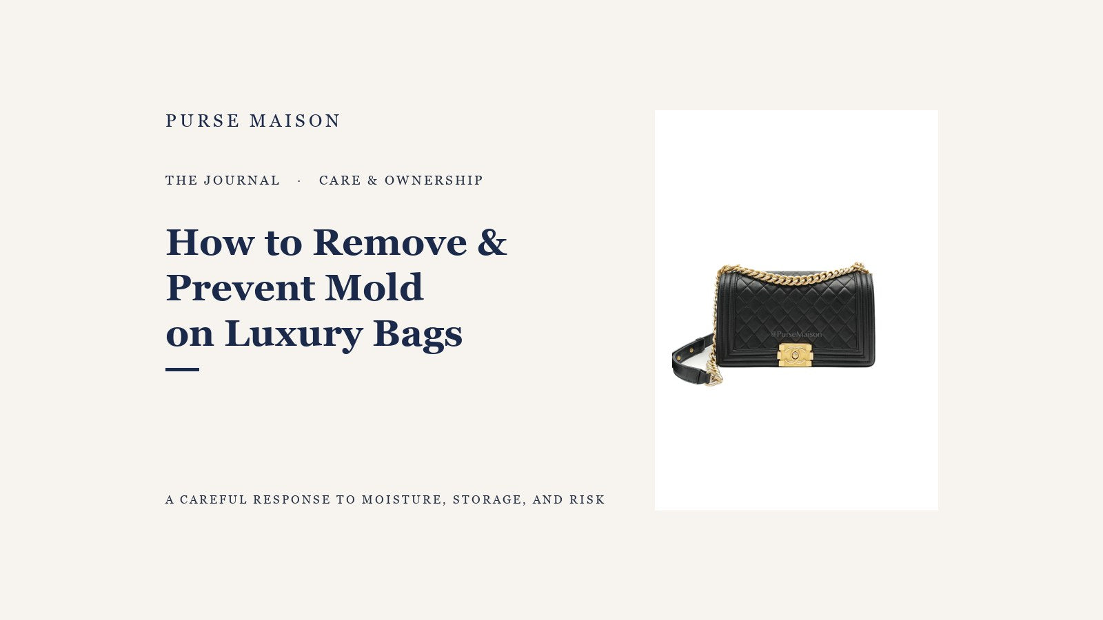 Purse Maison Journal — How to Remove and Prevent Mold on Luxury Bags