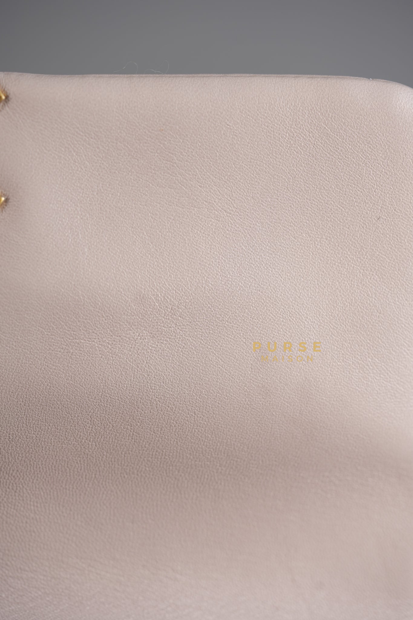 19 Small in Pale Pink Lambskin and Mix Hardware (Microchip) | Purse Maison Luxury Bags Shop