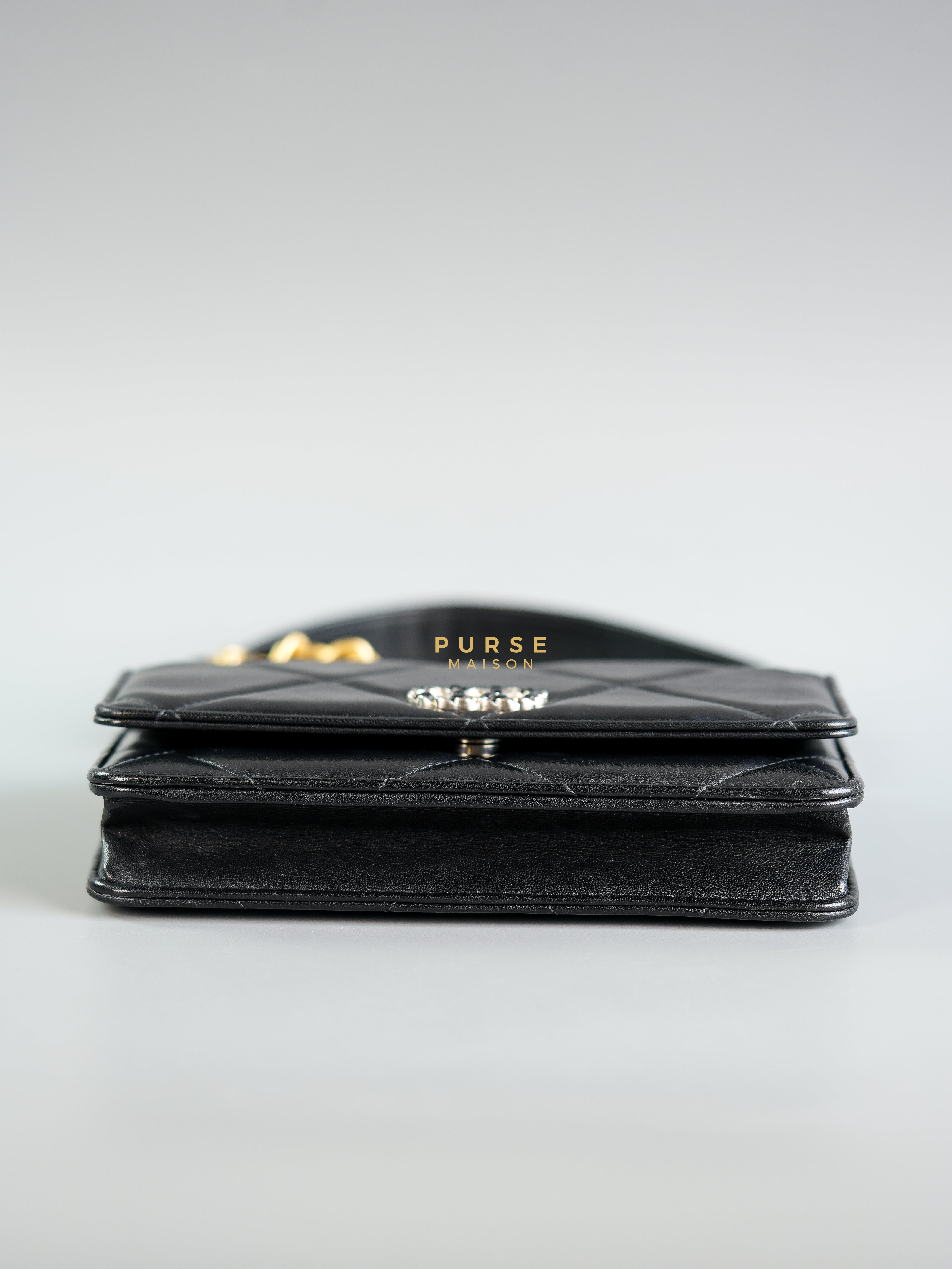 19 Wallet on Chain in Black Lambskin & Mix Hardware (Microchip) | Purse Maison Luxury Bags Shop