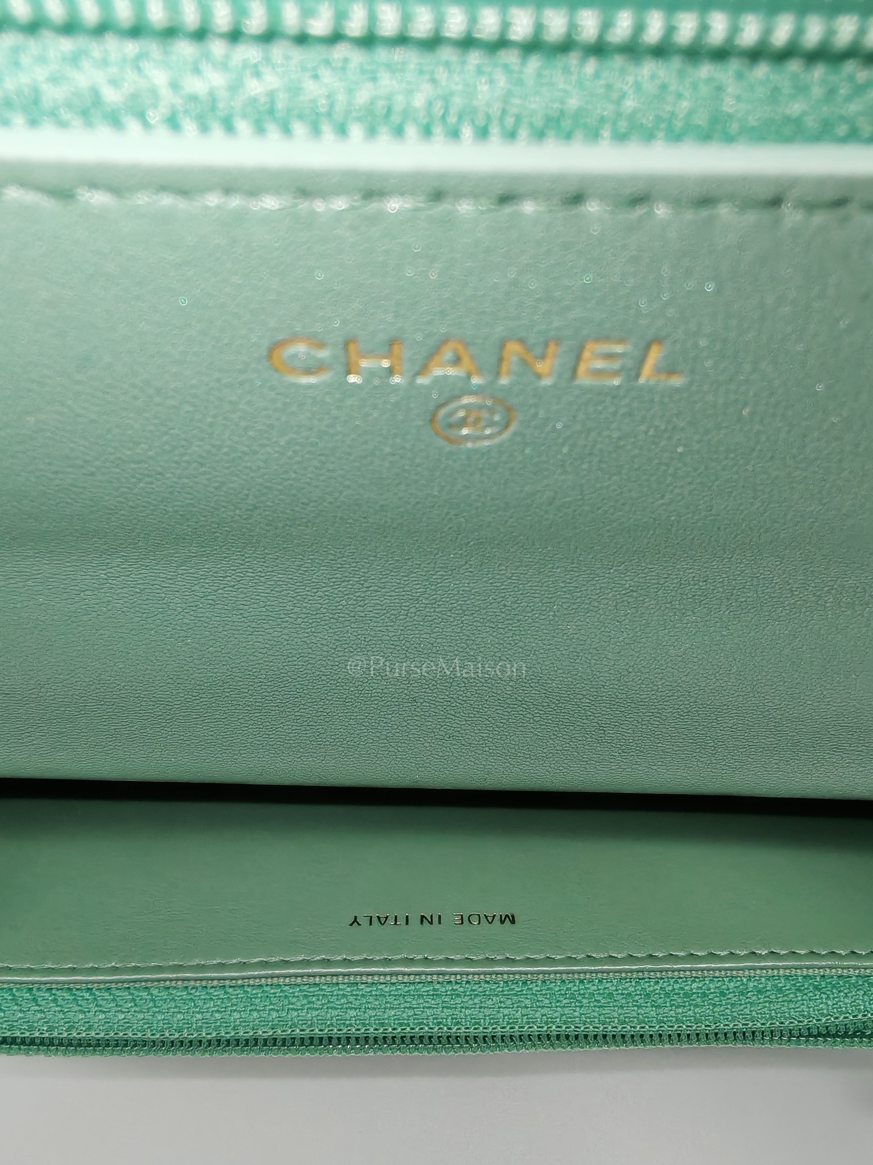 19 Wallet on Chain in Light Green Lambskin Leather & Gold Hardware Microchip | Purse Maison Luxury Bags Shop