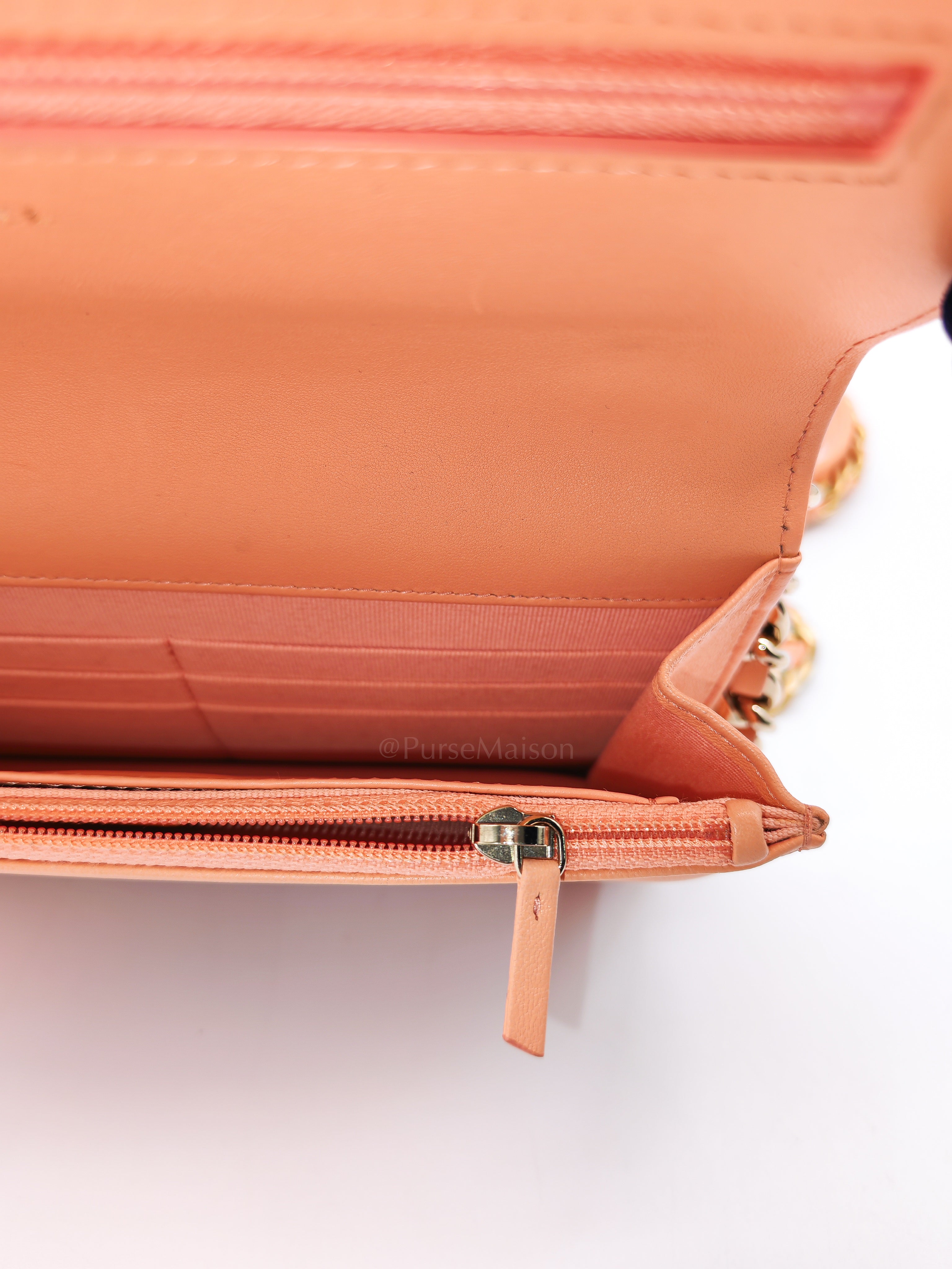 19 Wallet on Chain(WOC) in Pink Salmon Lambskin Mix Hardware Lambskin Leather (Microchip) | Purse Maison Luxury Bags Shop