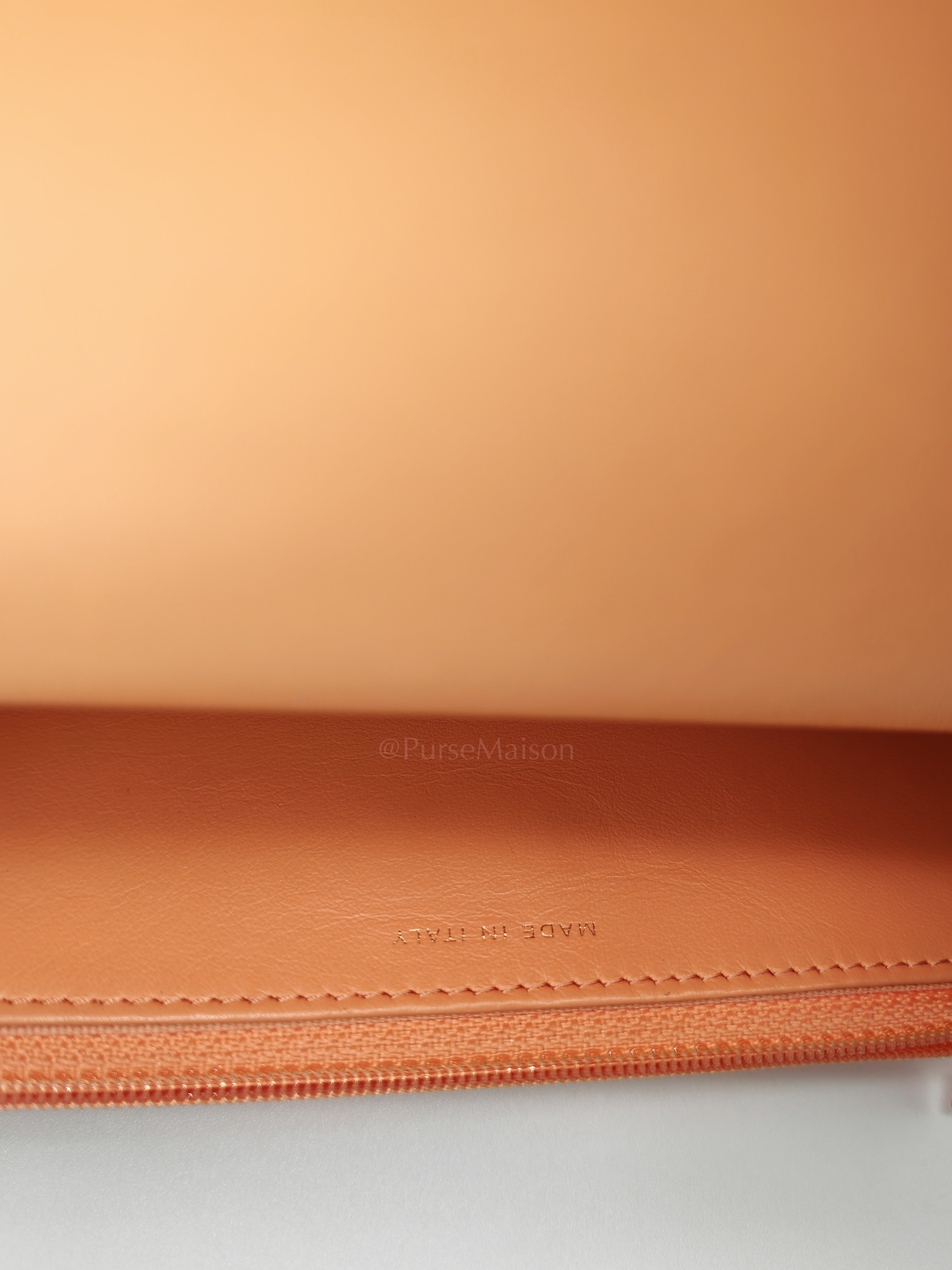 19 Wallet on Chain(WOC) in Pink Salmon Lambskin Mix Hardware Lambskin Leather (Microchip) | Purse Maison Luxury Bags Shop