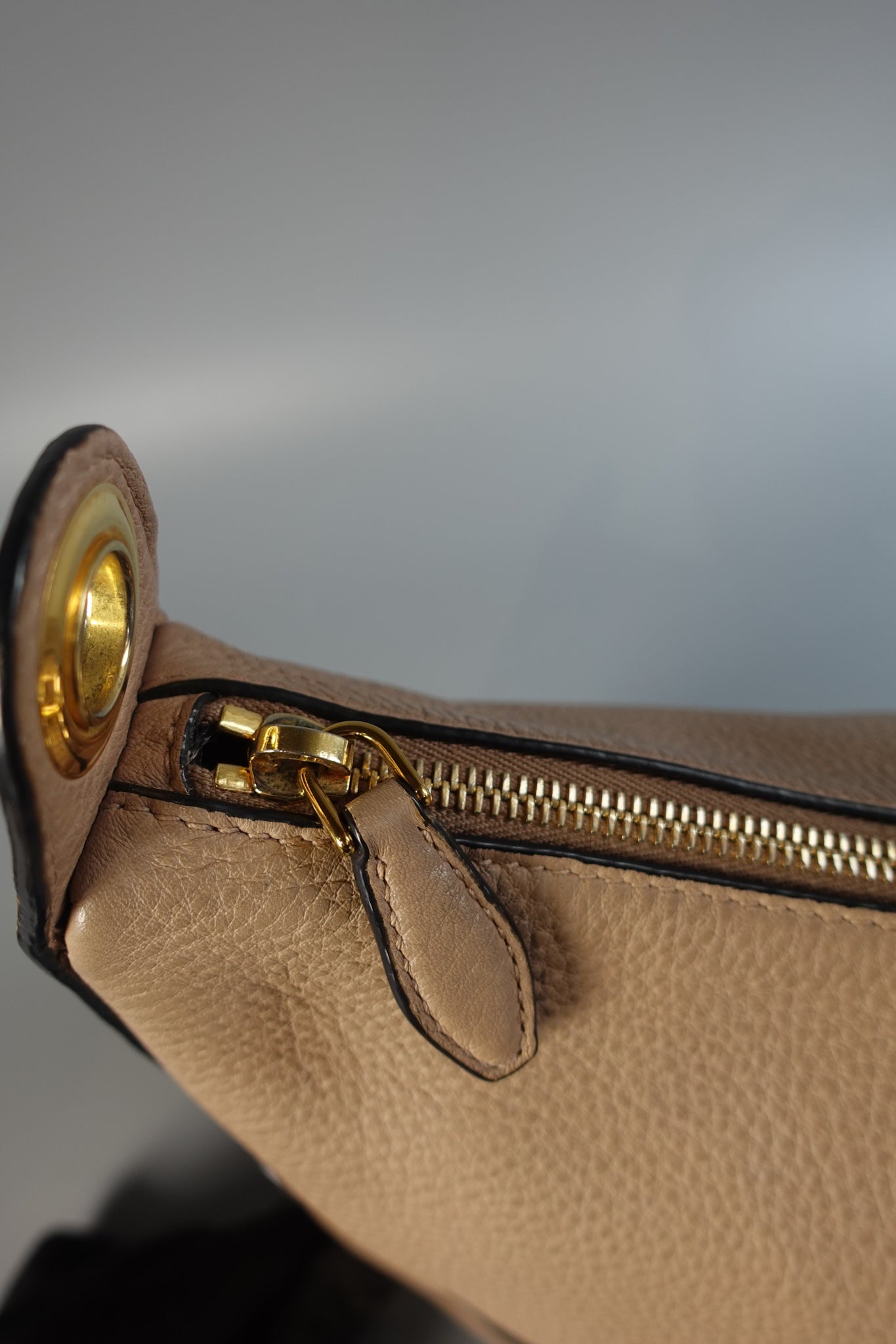 1BC052 Vitello Phenix Cammeo Leather and Gold Hardware Bag | Purse Maison Luxury Bags Shop