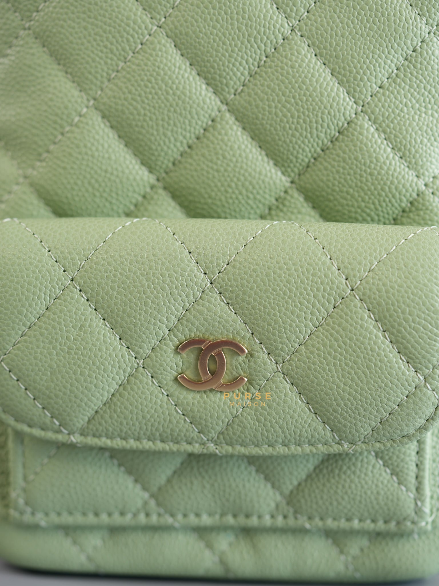 2024 Cruise Mini Backpack Sage Green Caviar and Light Gold Hardware (Microchip) | Purse Maison Luxury Bags Shop