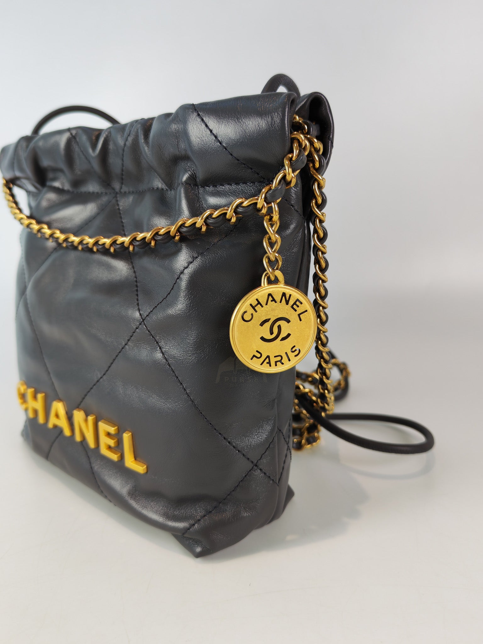 22 Mini in Dark Gray Calfskin Leather Aged Gold Hardware (Microchip) | Purse Maison Luxury Bags Shop