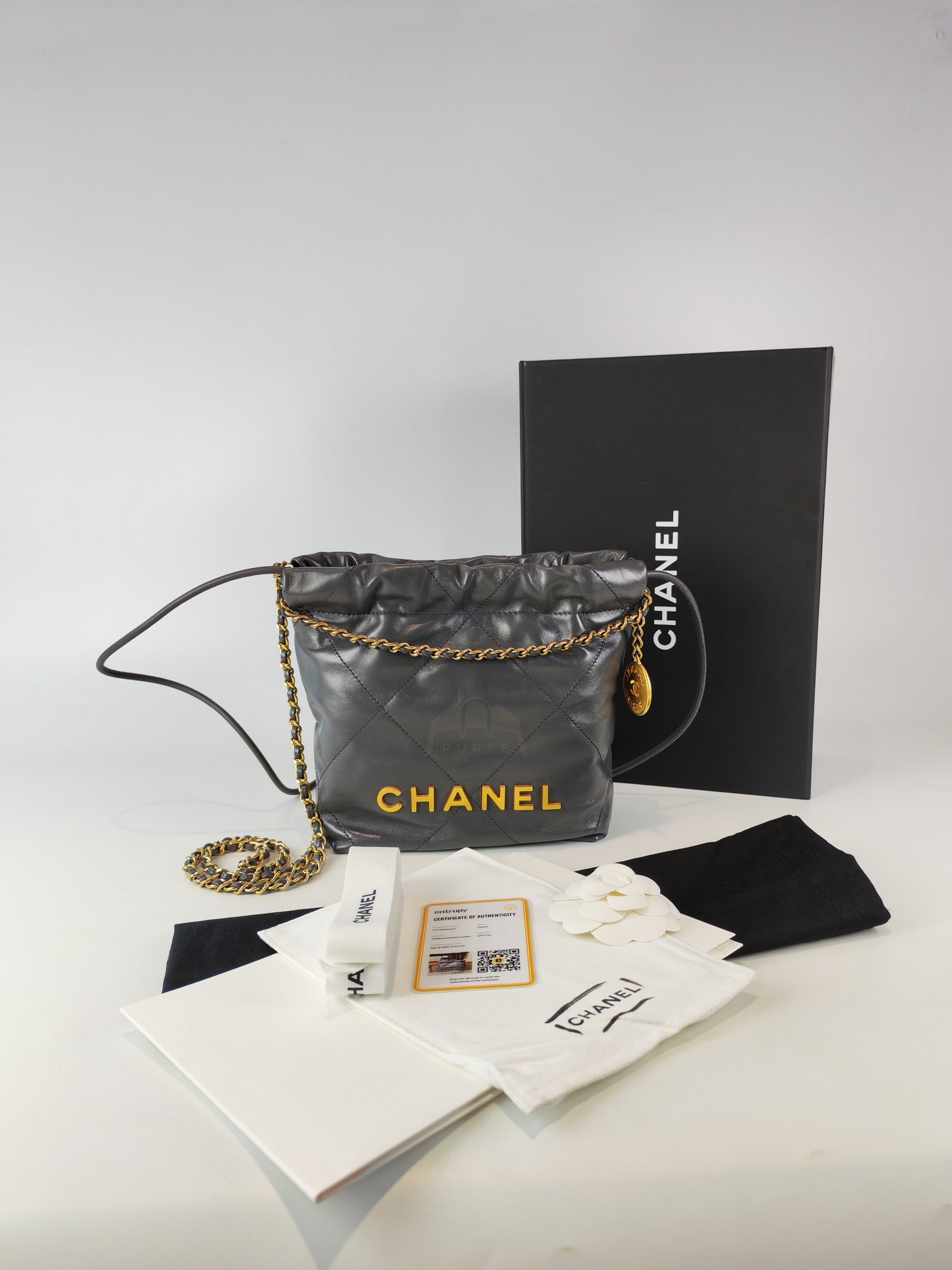 22 Mini in Dark Gray Calfskin Leather Aged Gold Hardware (Microchip) | Purse Maison Luxury Bags Shop