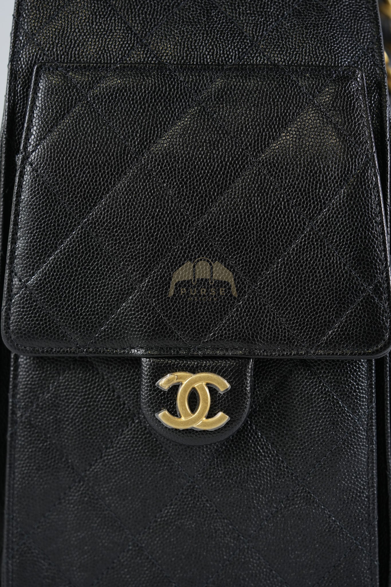 25 Medium in Black Caviar Leather and Aged Gold Hardware (Microchip) | Purse Maison Luxury Bags Shop
