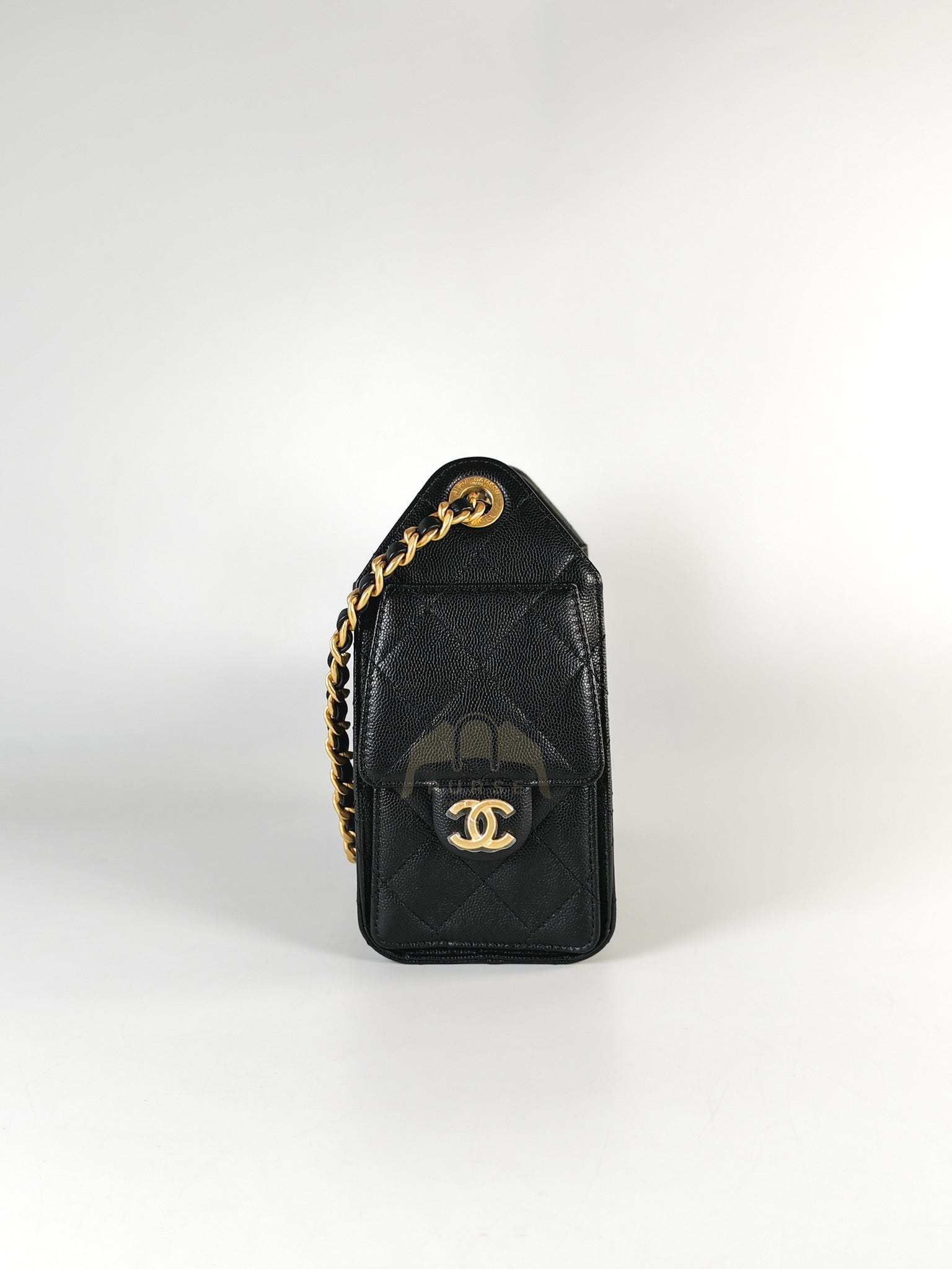 25 Mini in Black Caviar Leather Aged Gold Hardware (Microchip) | Purse Maison Luxury Bags Shop