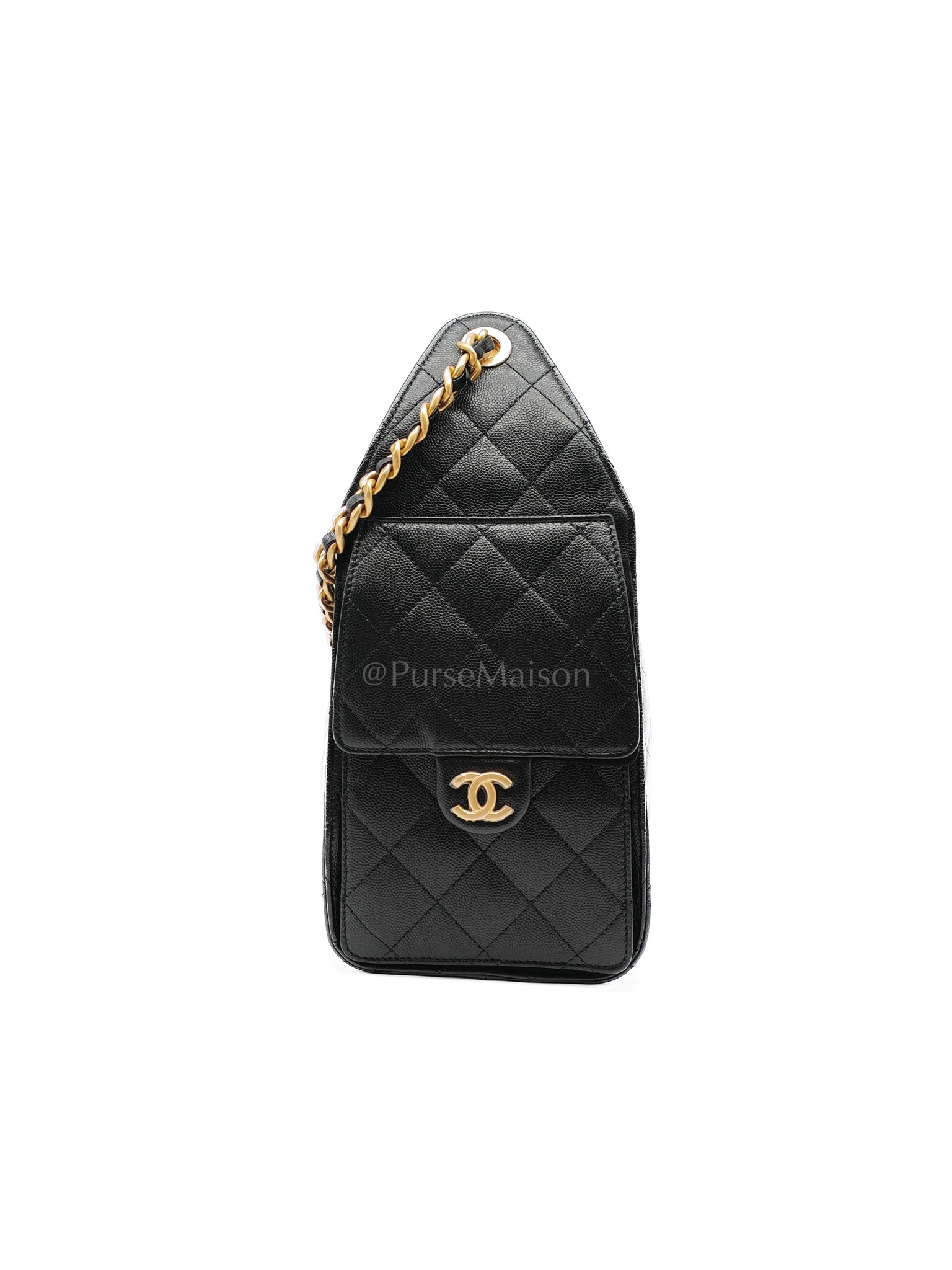 25 Small in Black Caviar Leather Aged Gold Hardware (Microchip) | Purse Maison Luxury Bags Shop