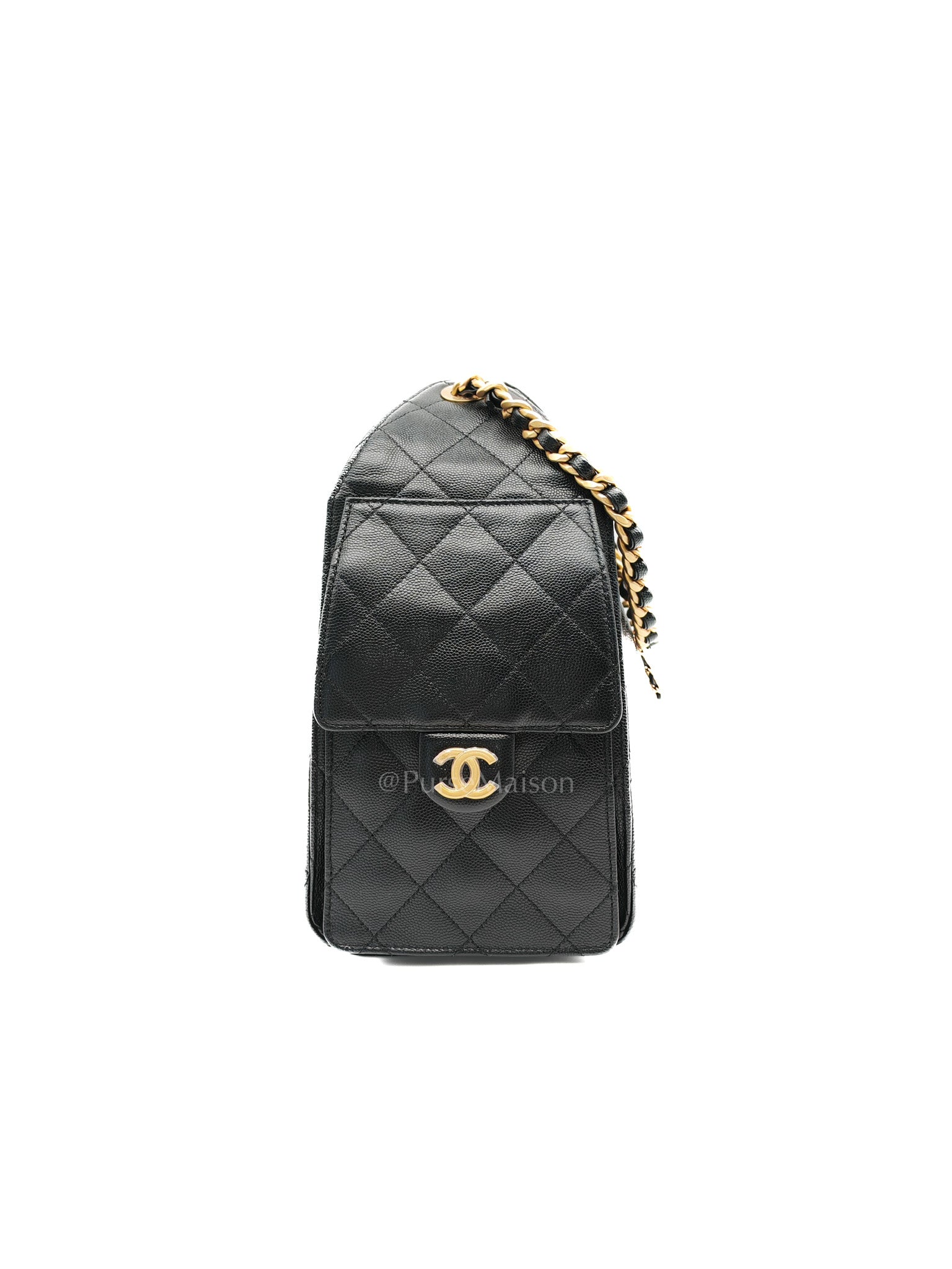 25 Small in Black Caviar Leather Aged Gold Hardware (Microchip) | Purse Maison Luxury Bags Shop