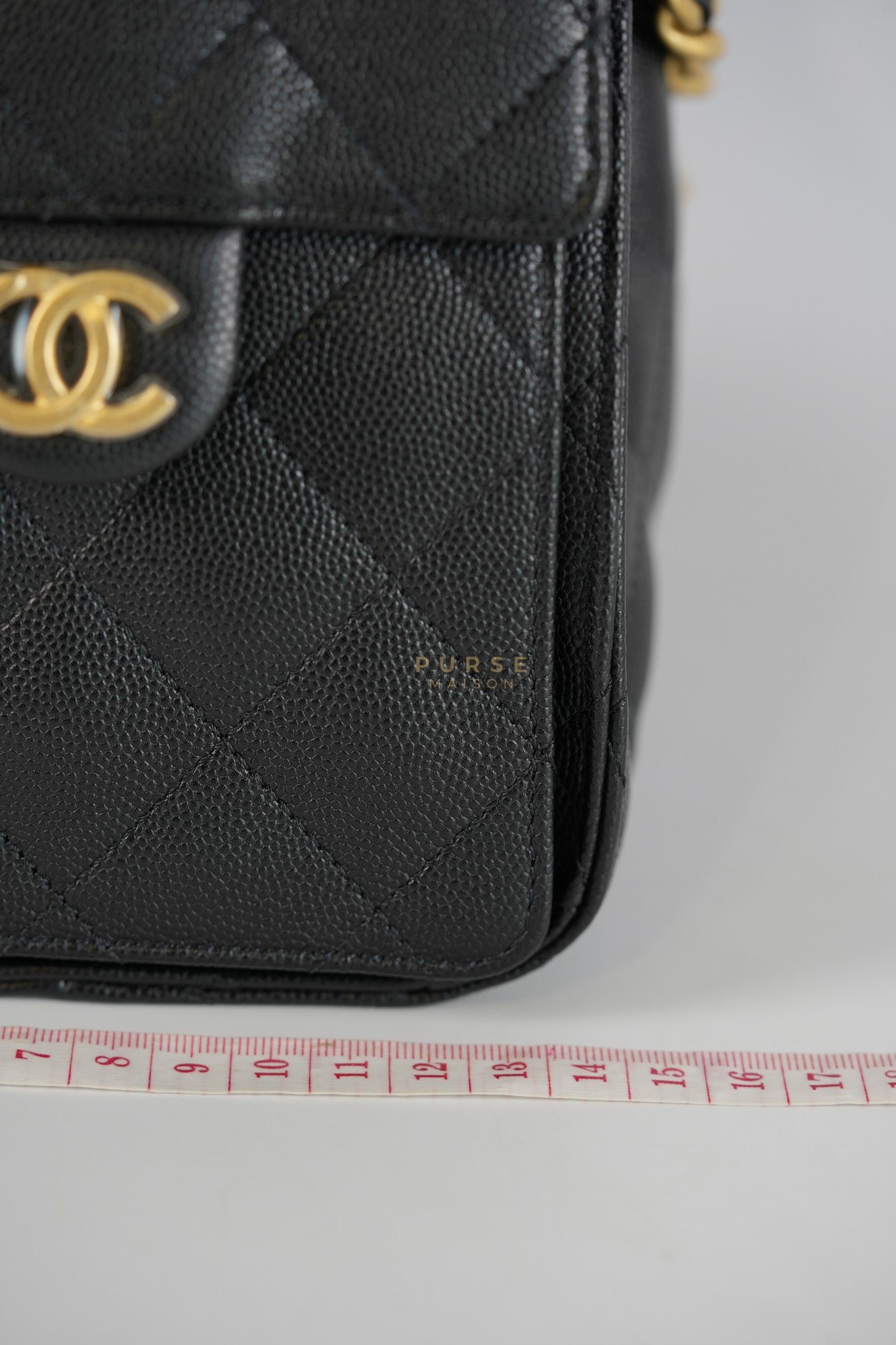 25 Small in Black Caviar Leather and Aged Gold Hardwar (Microchip) | Purse Maison Luxury Bags Shop